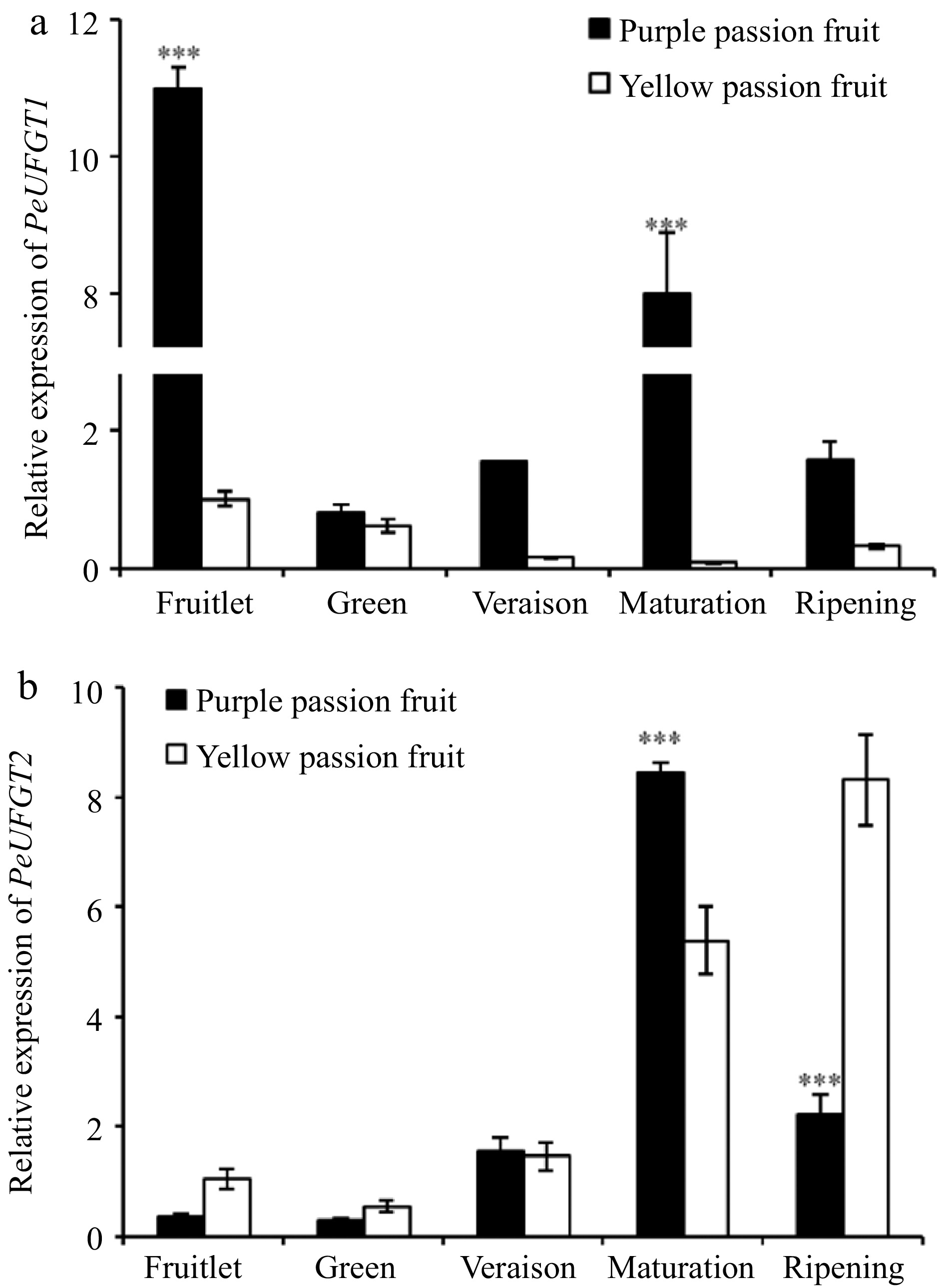 Changes in fruit anthocyanins, their biosynthesisrelated enzymes and
