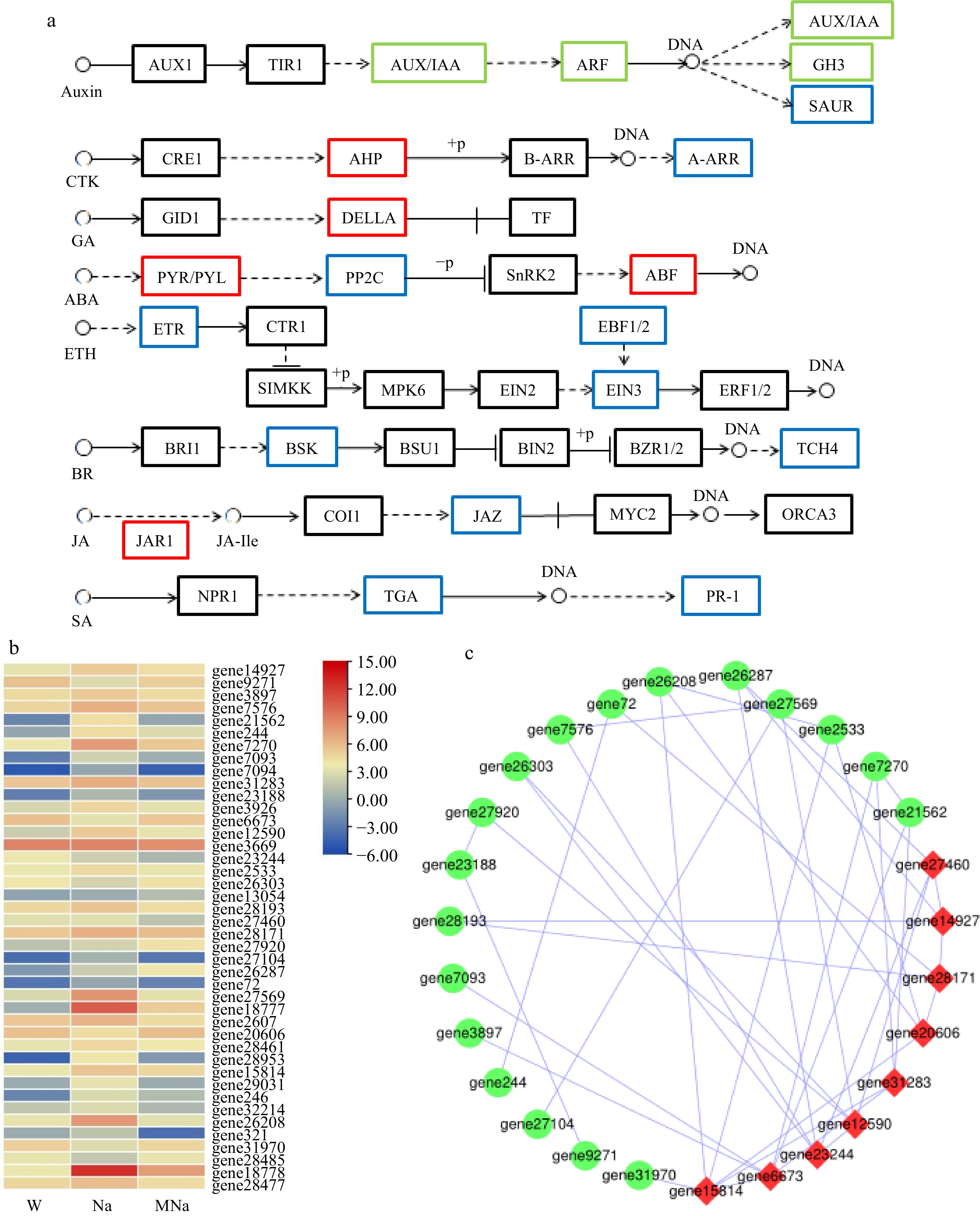 Pathways Plot Transcriptome Transcriptome analysis revealed MAPK and hormone pathway involving in ...