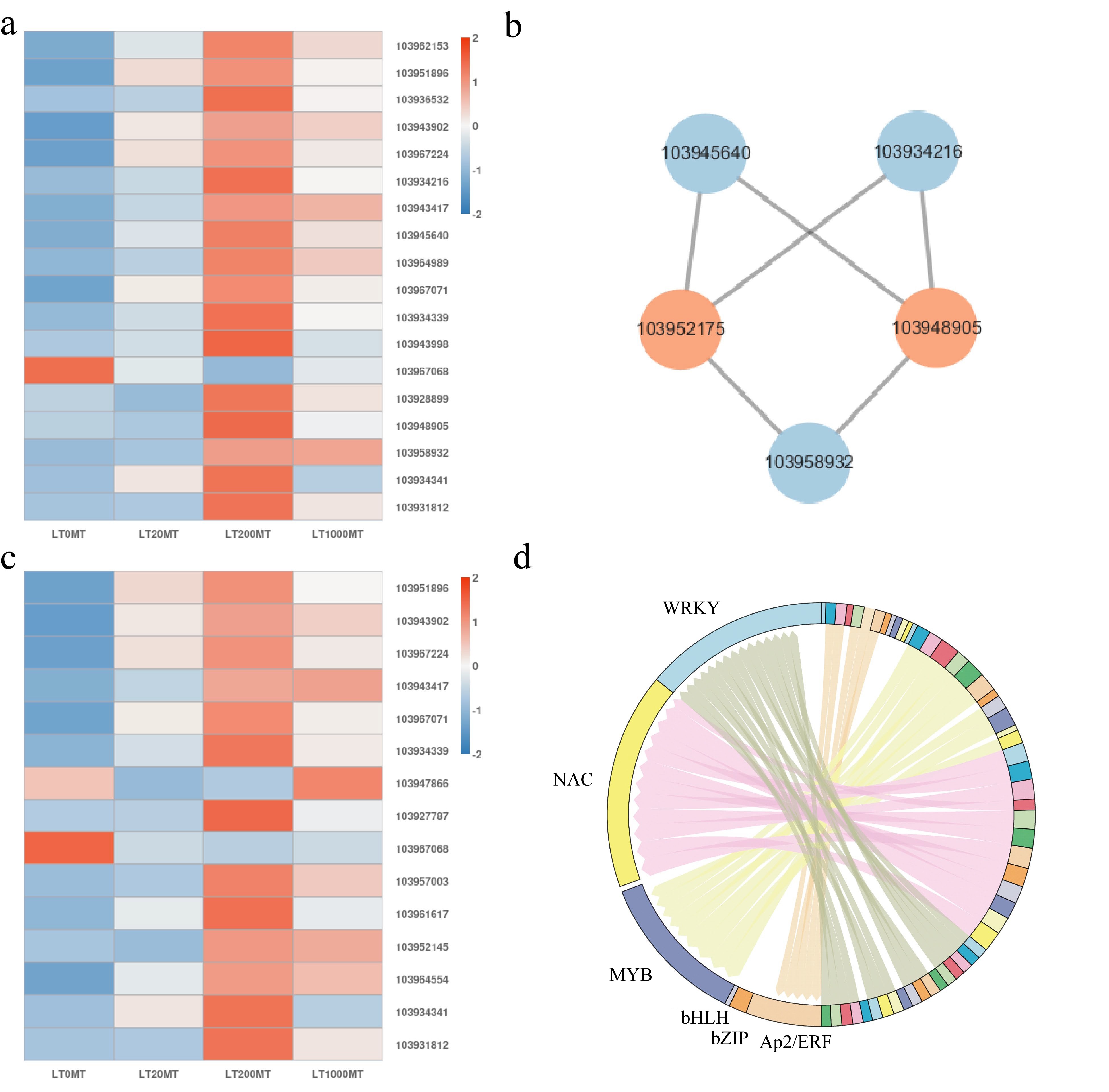 MAPK and hormone signaling and carotenoid biosynthesis pathways are ...
