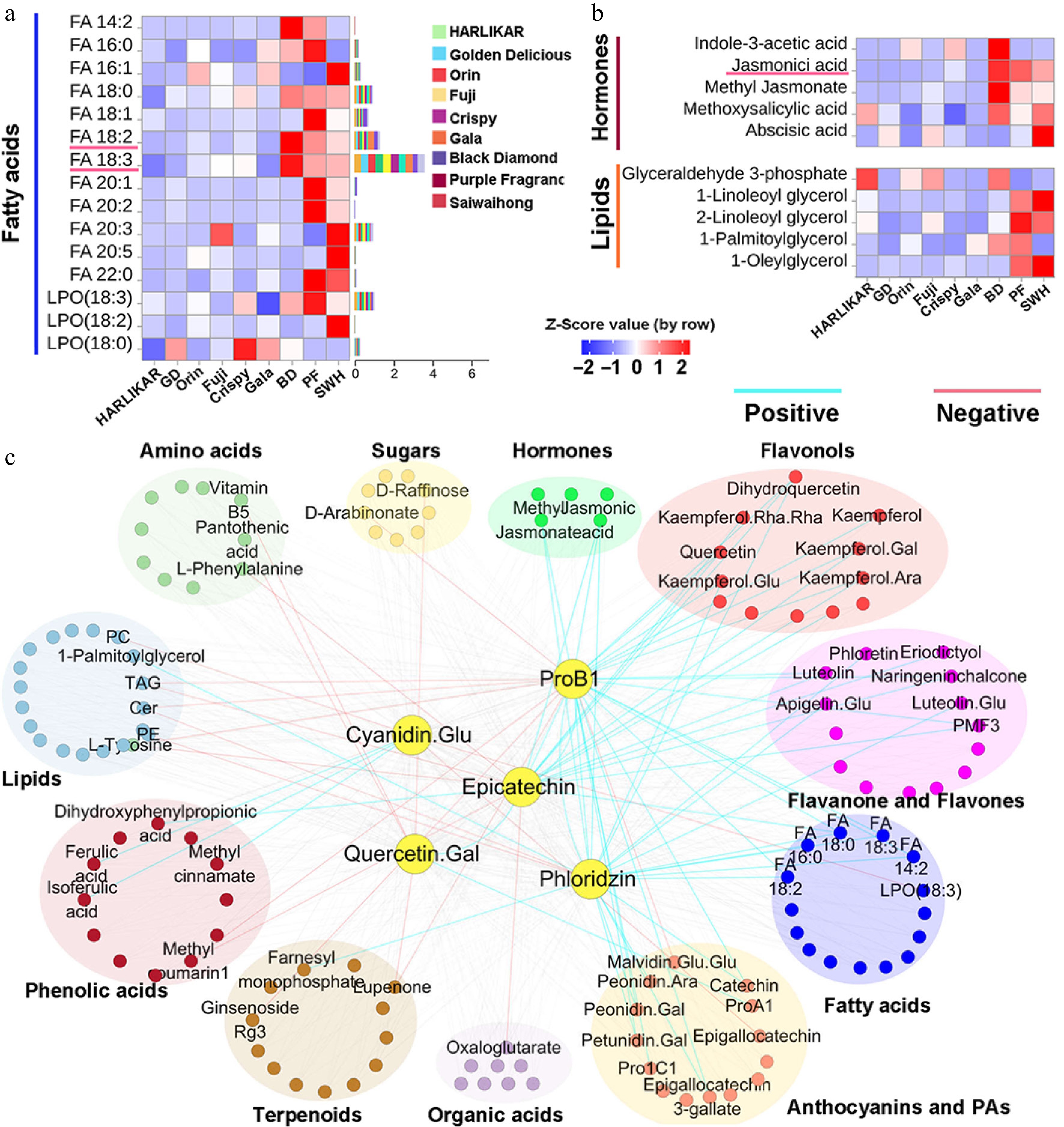 Transcriptome and metabolome analysis reveals the effects of fatty acid ...