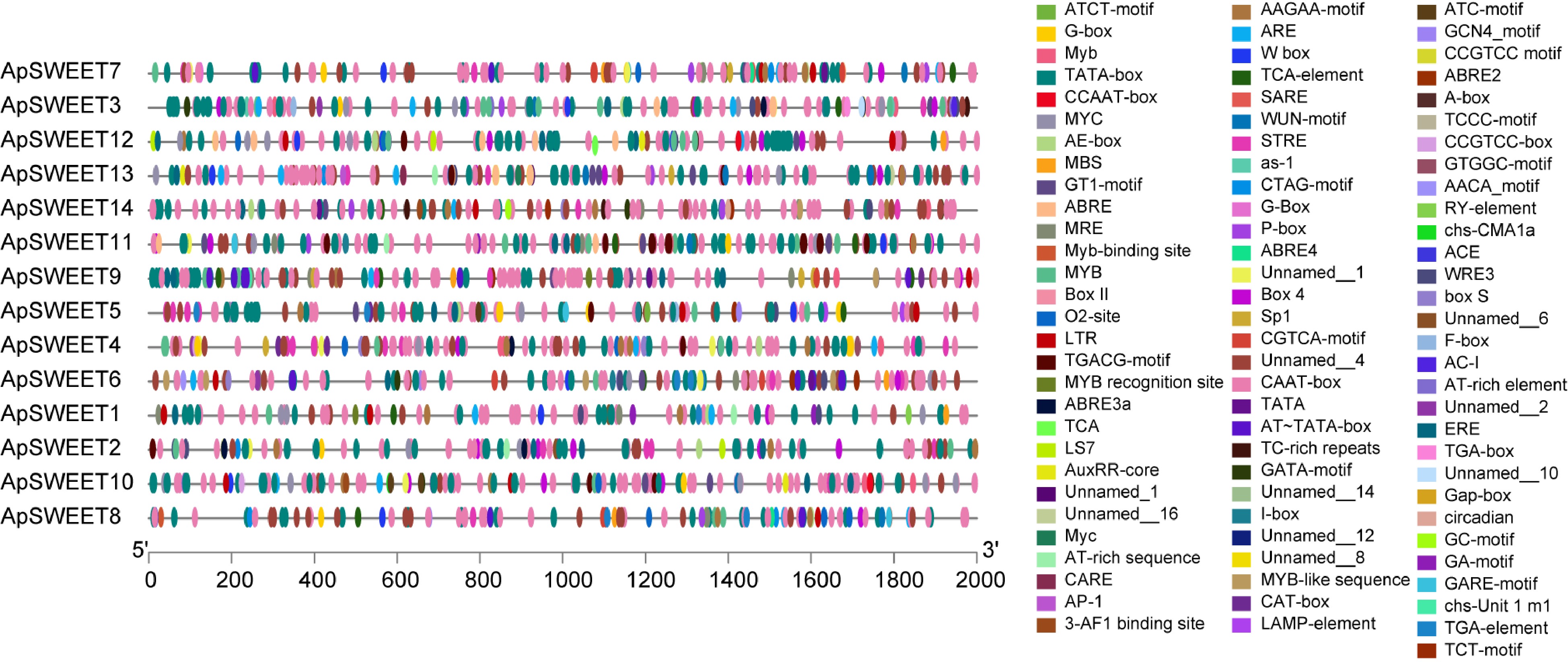 Genome-wide identification and expression profiling of the SWEET family ...