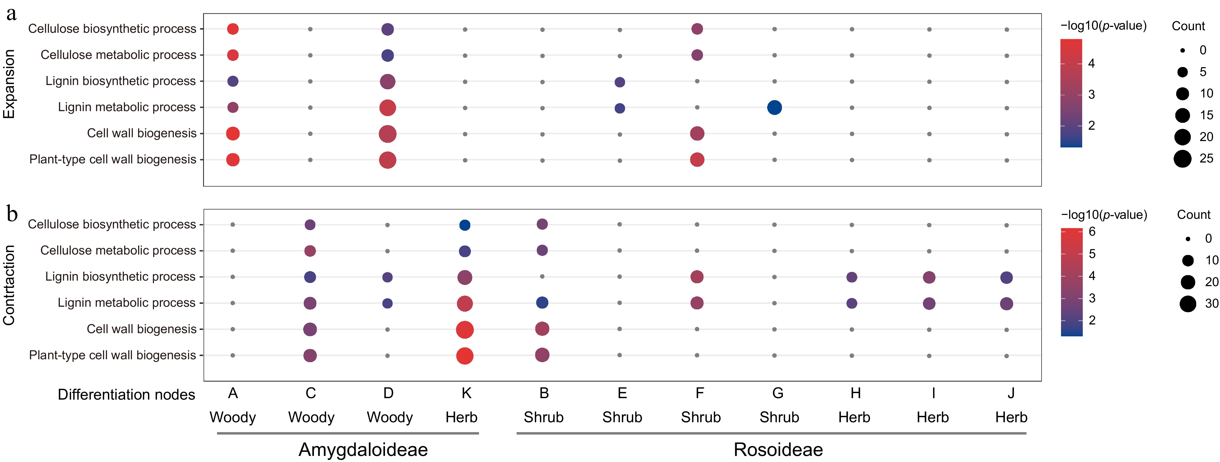 Evolution of the lignin biosynthesis pathway underlies life form ...