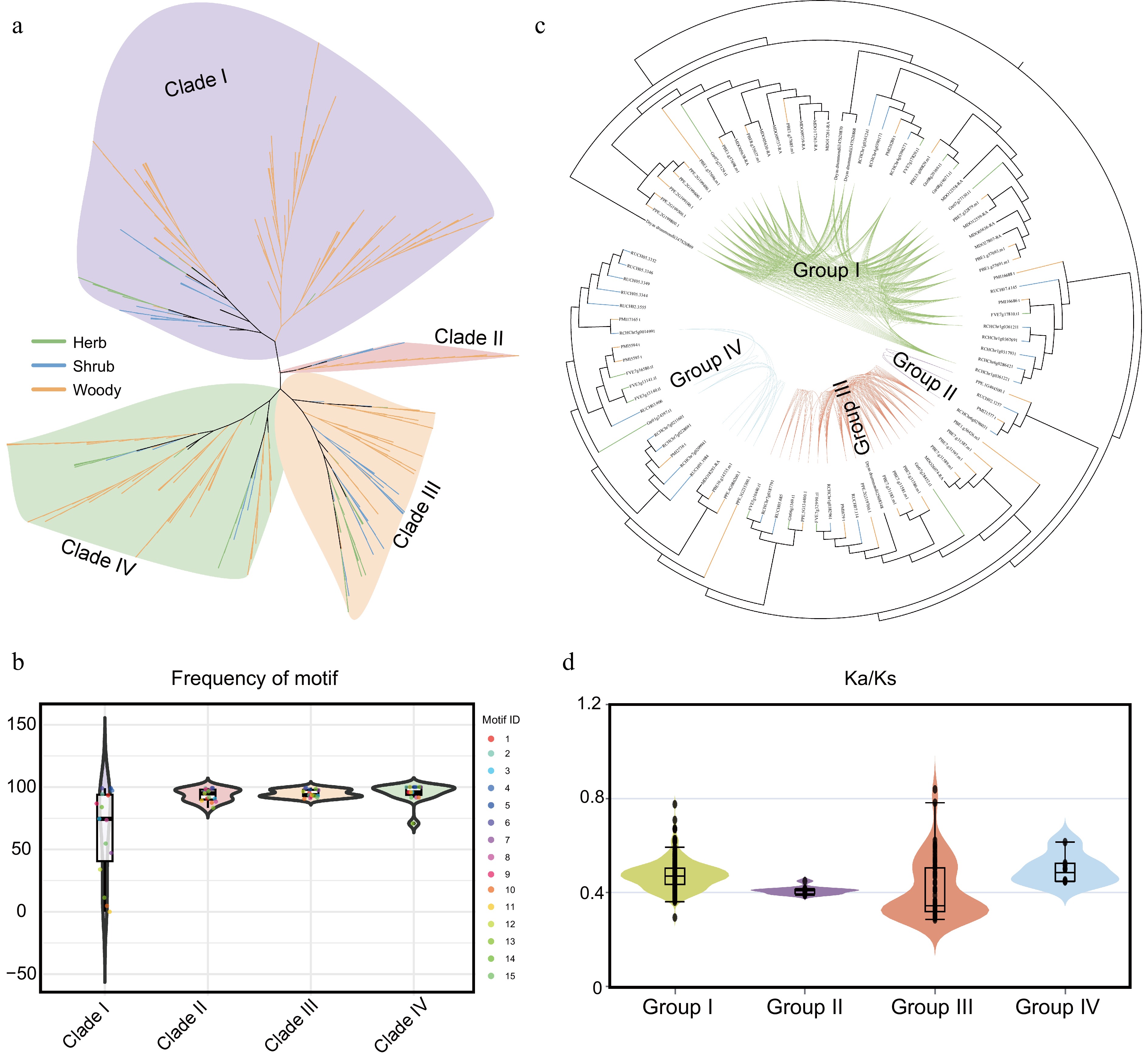 Evolution of the lignin biosynthesis pathway underlies life form ...