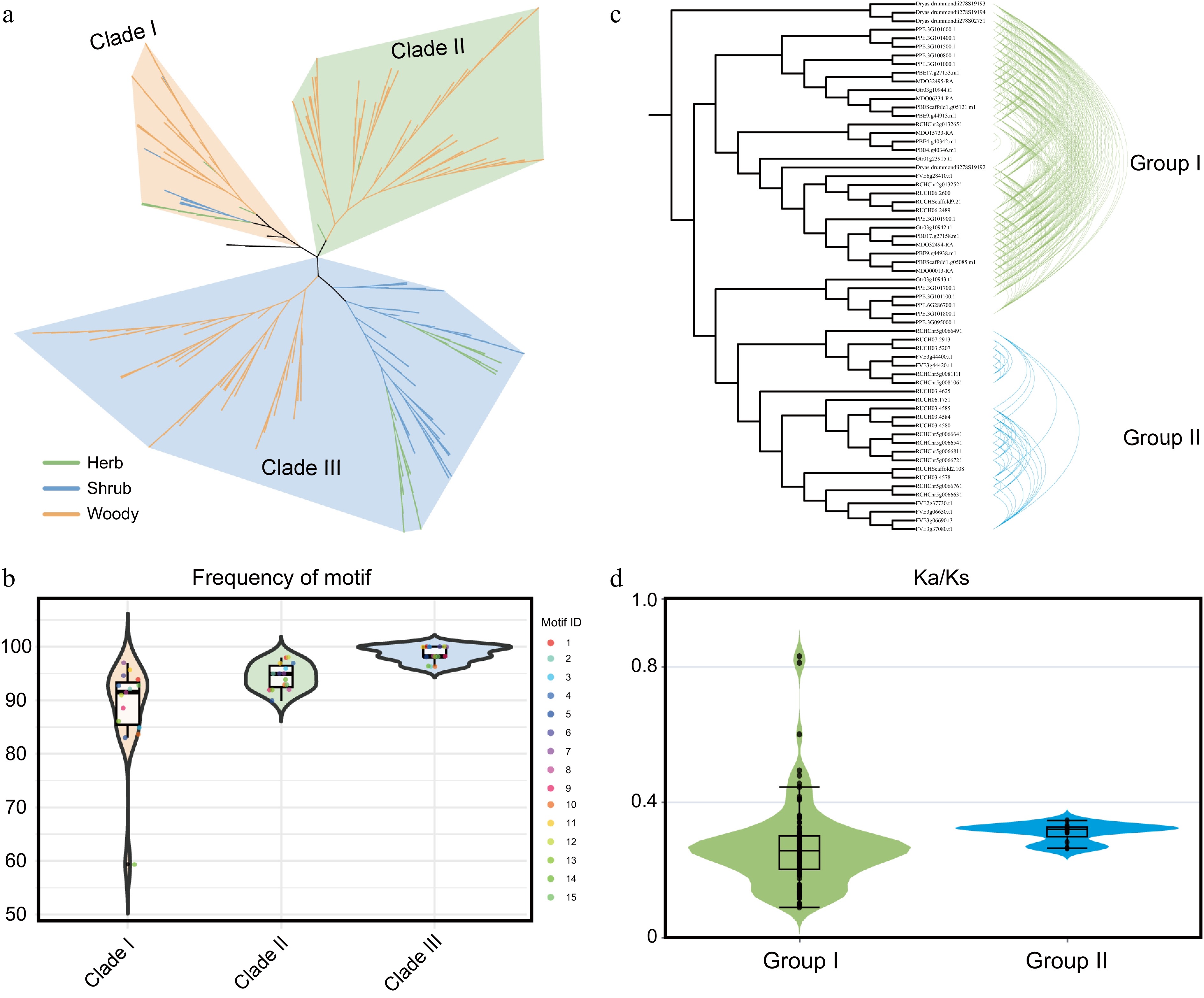 Evolution of the lignin biosynthesis pathway underlies life form ...