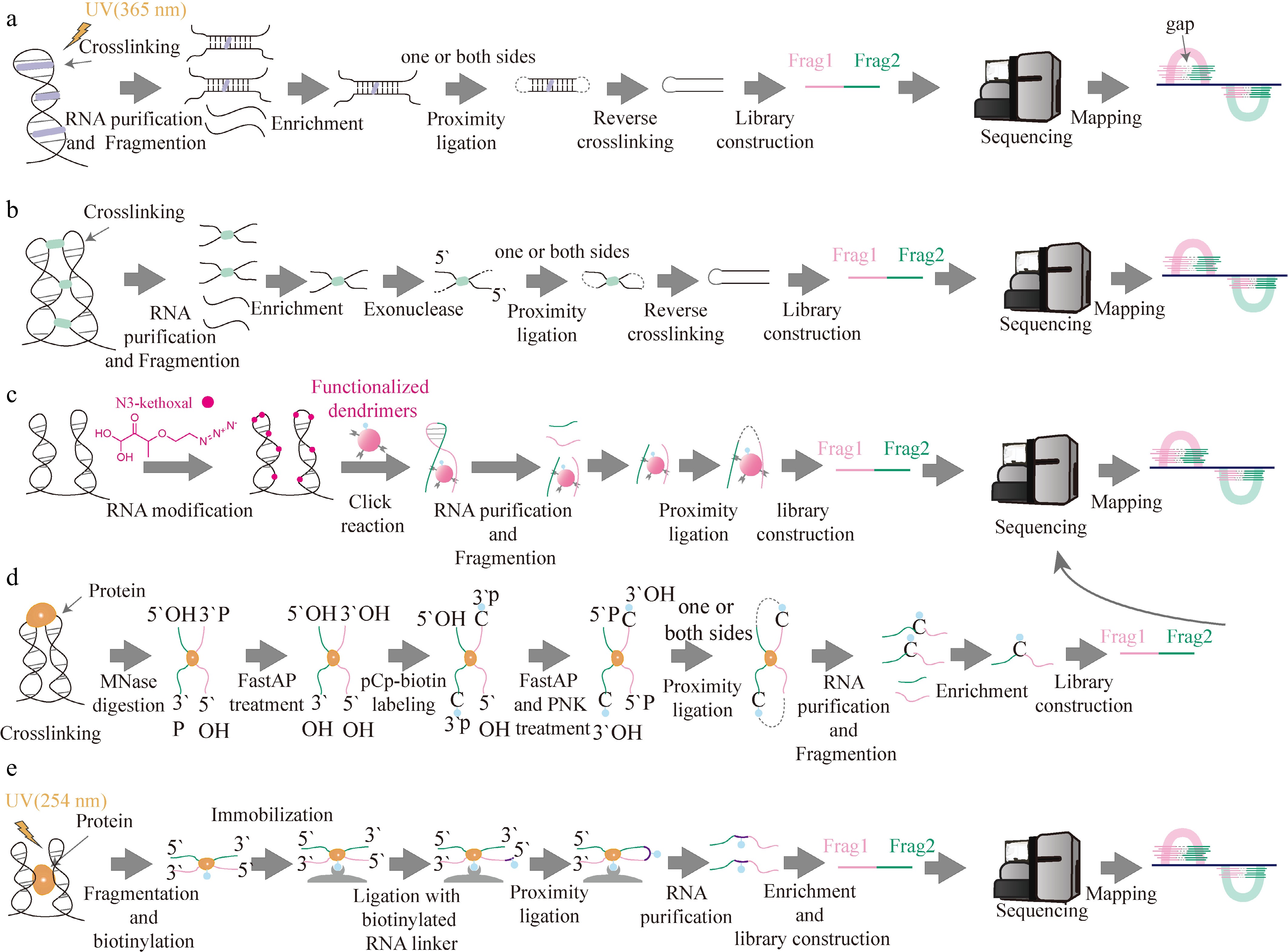 From structural probing to predictive modeling high-throughput ...