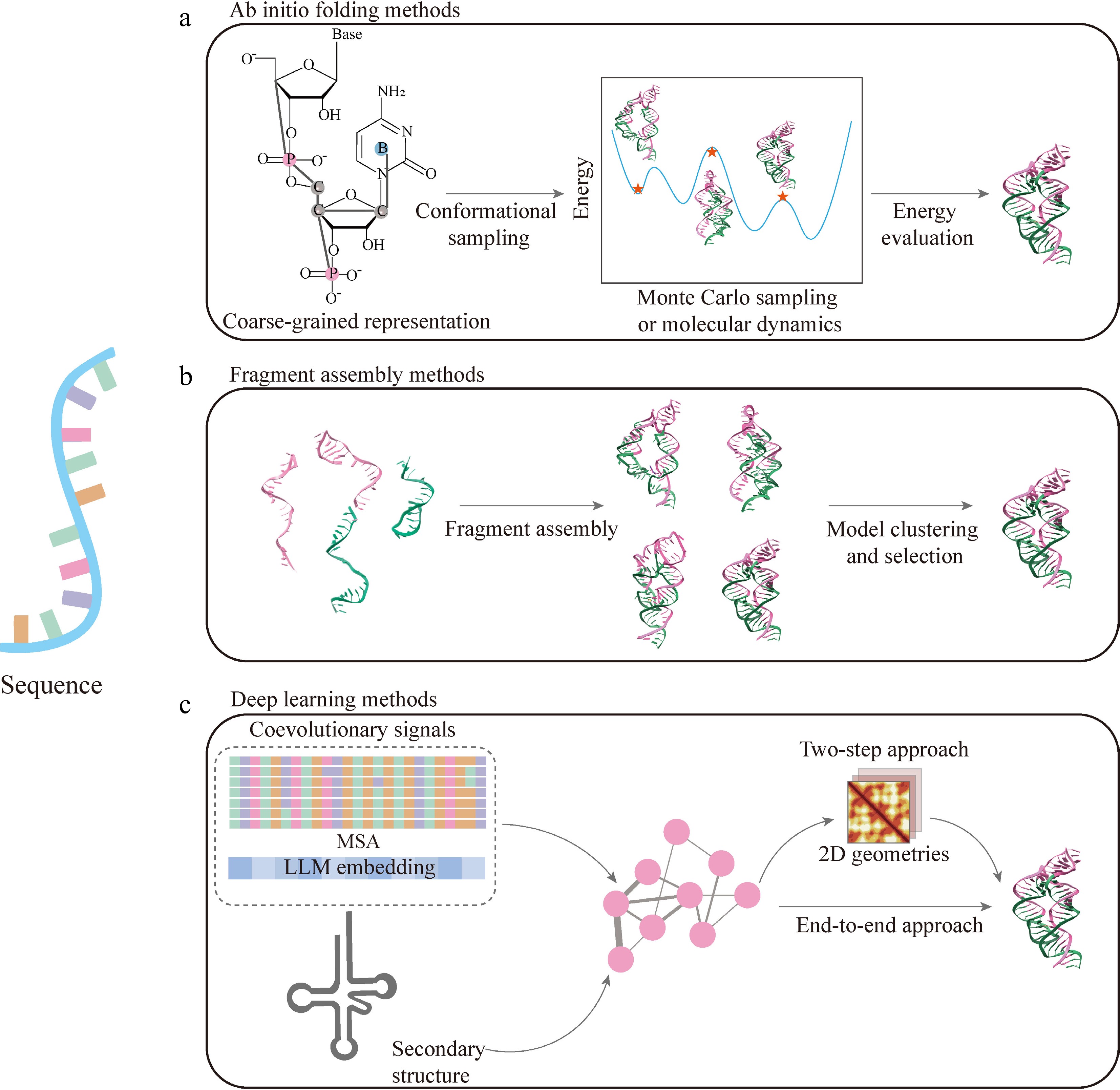 A Rna Structure From structural probing to predictive modeling high-throughput ...