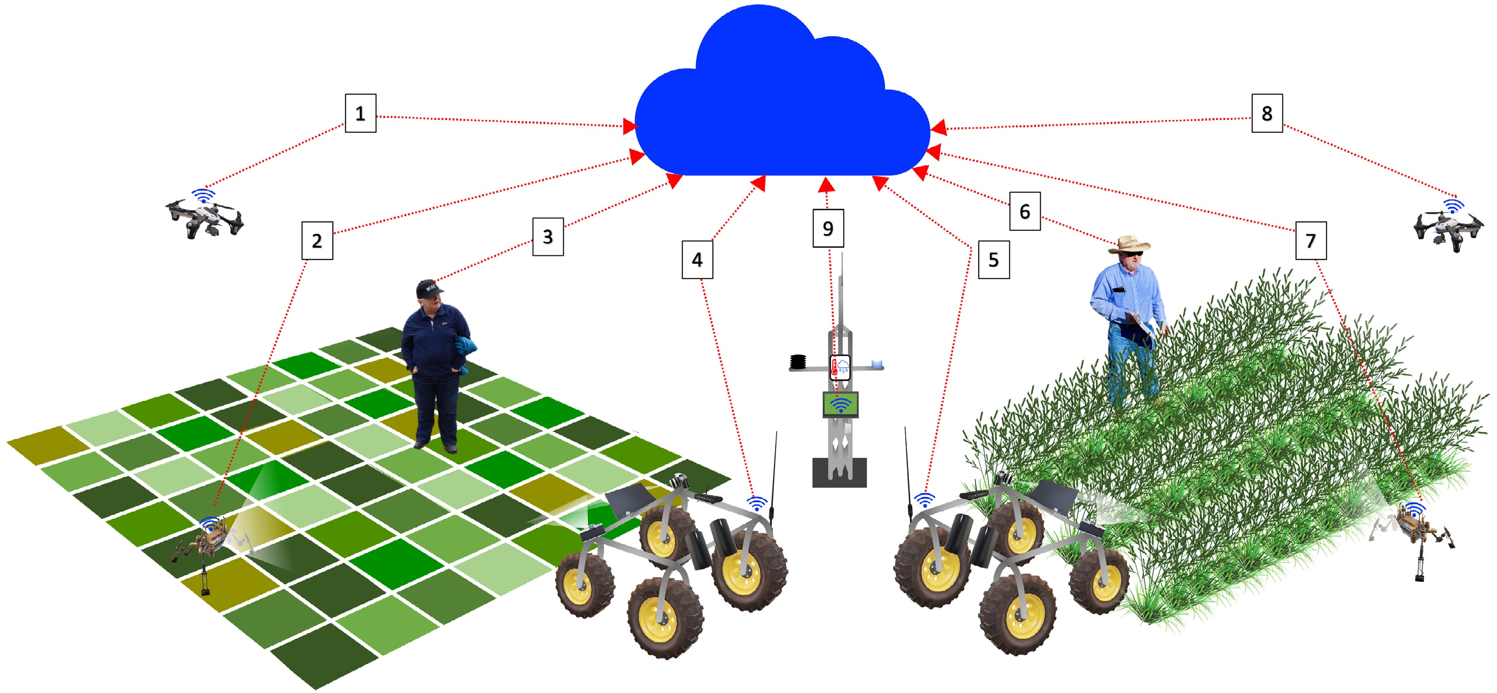 Highthroughput plant phenotyping for improved turfgrass breeding