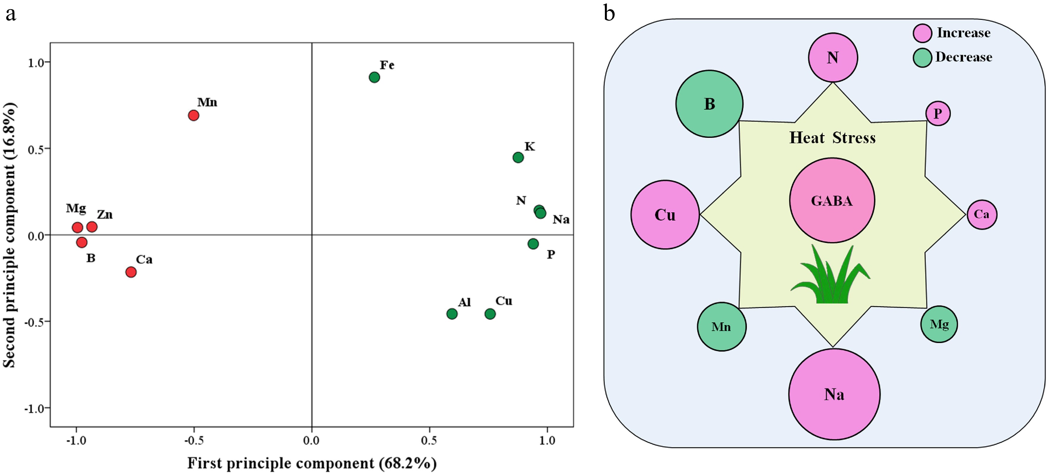 Regulation of nutrient accumulation by γaminobutyric acid associated