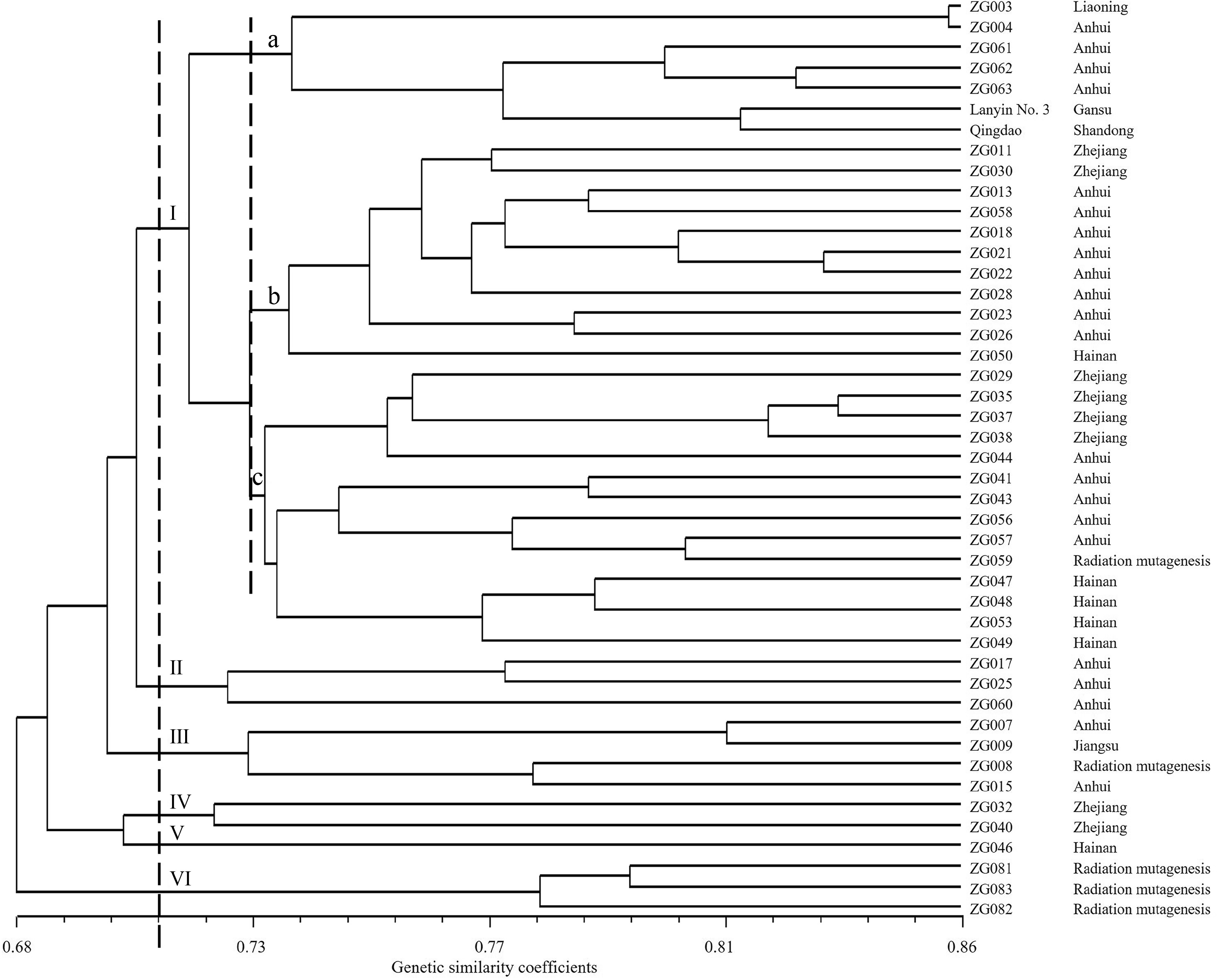 diversity analysis and fingerprint construction for 45 Chinese