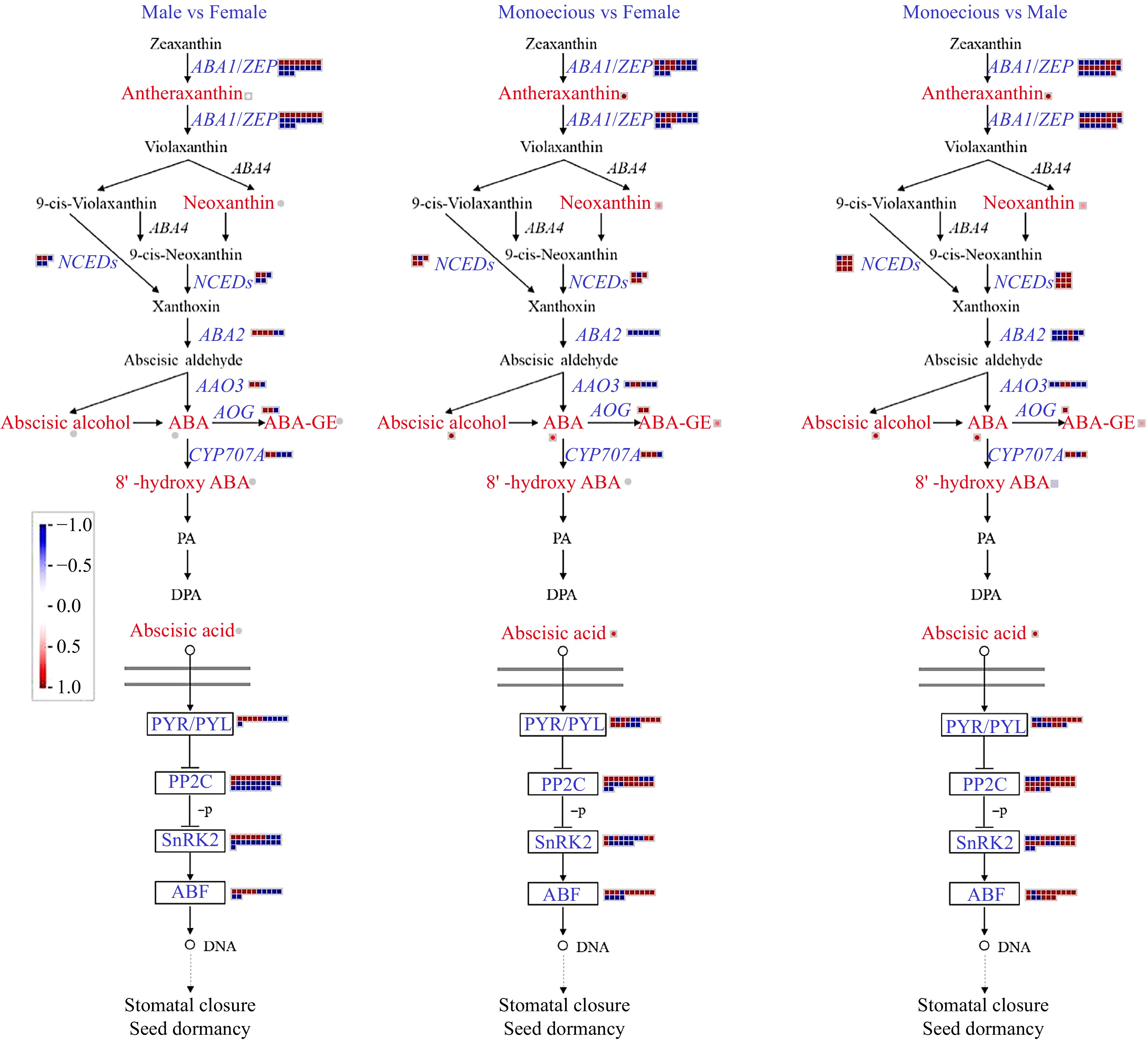 Integration Analysis Of Full Length Transcriptomics And Metabolomics