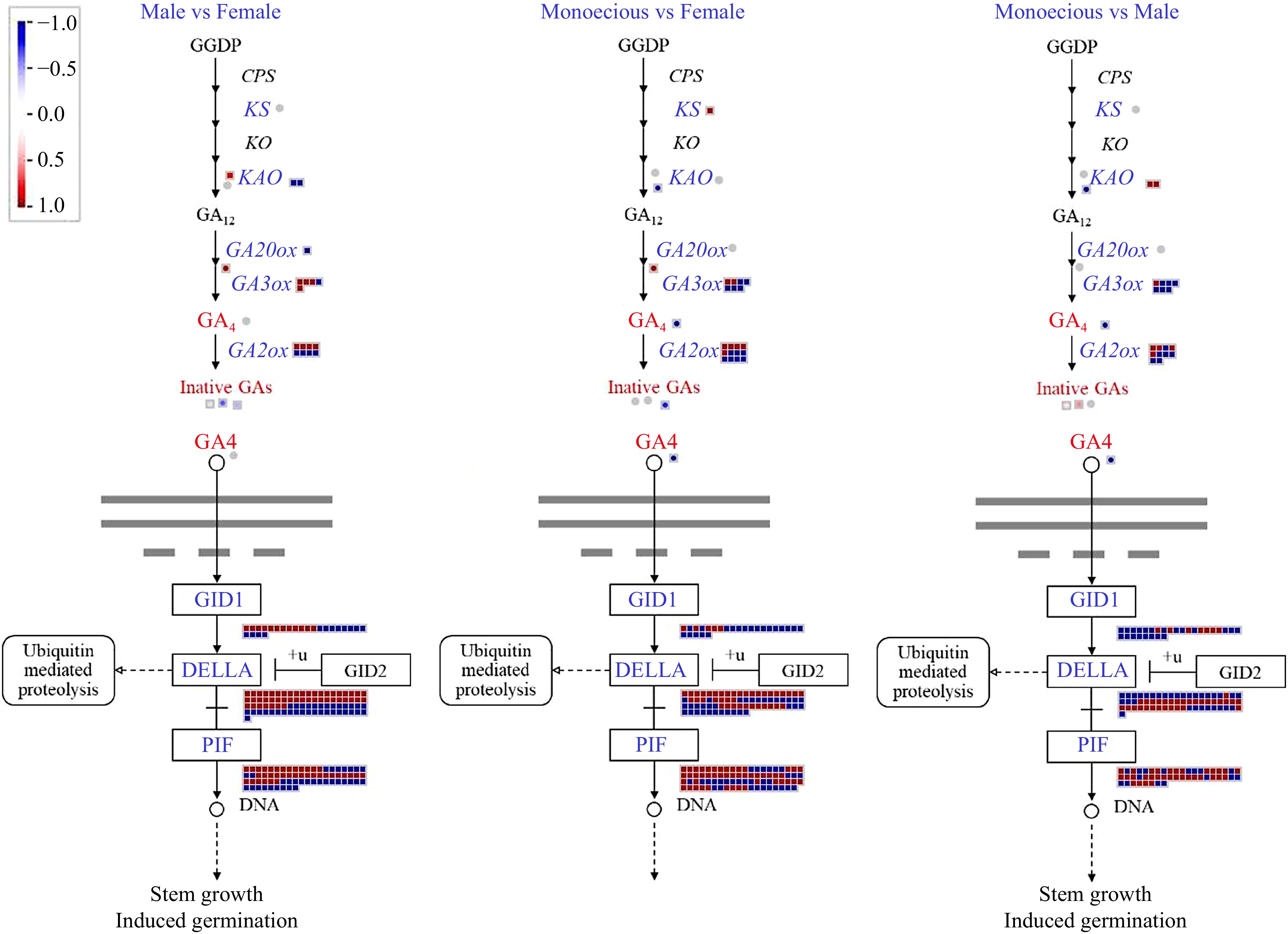 Integration Analysis Of Full Length Transcriptomics And Metabolomics