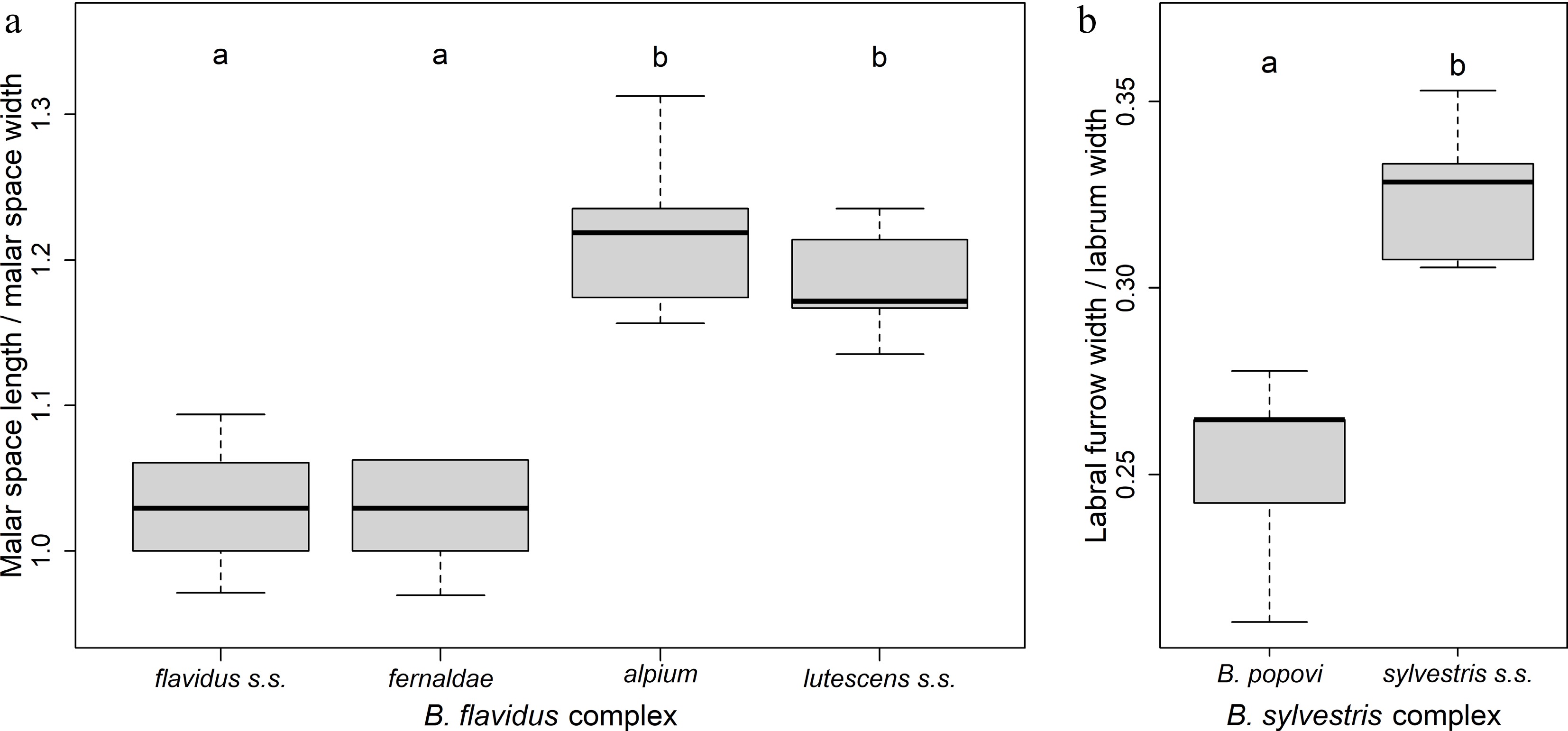 Integrating evidence to disentangle multiple cryptic speciation events ...