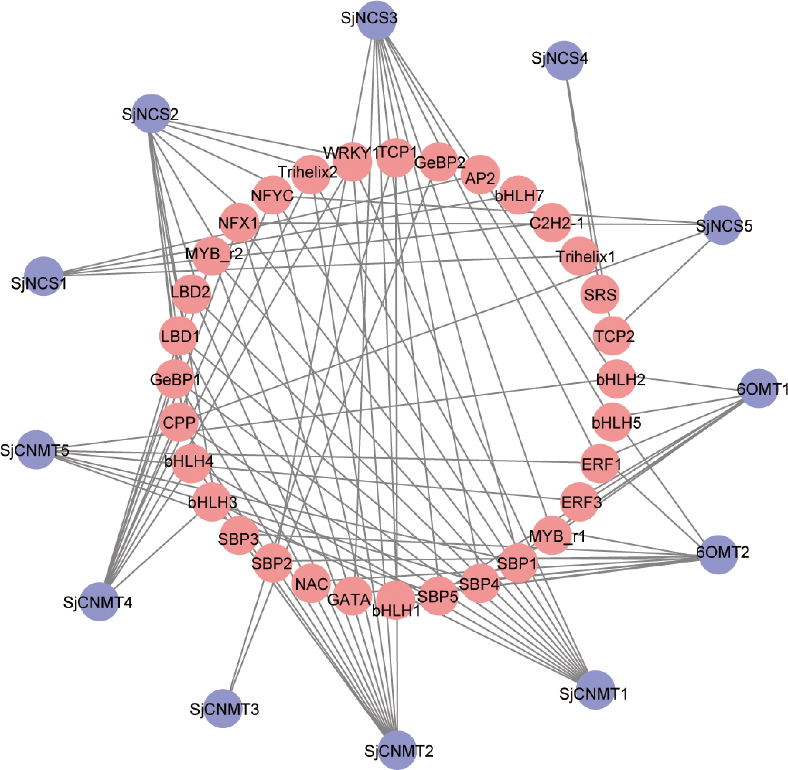 Expression relationship between microRNA and transcription factors in ...