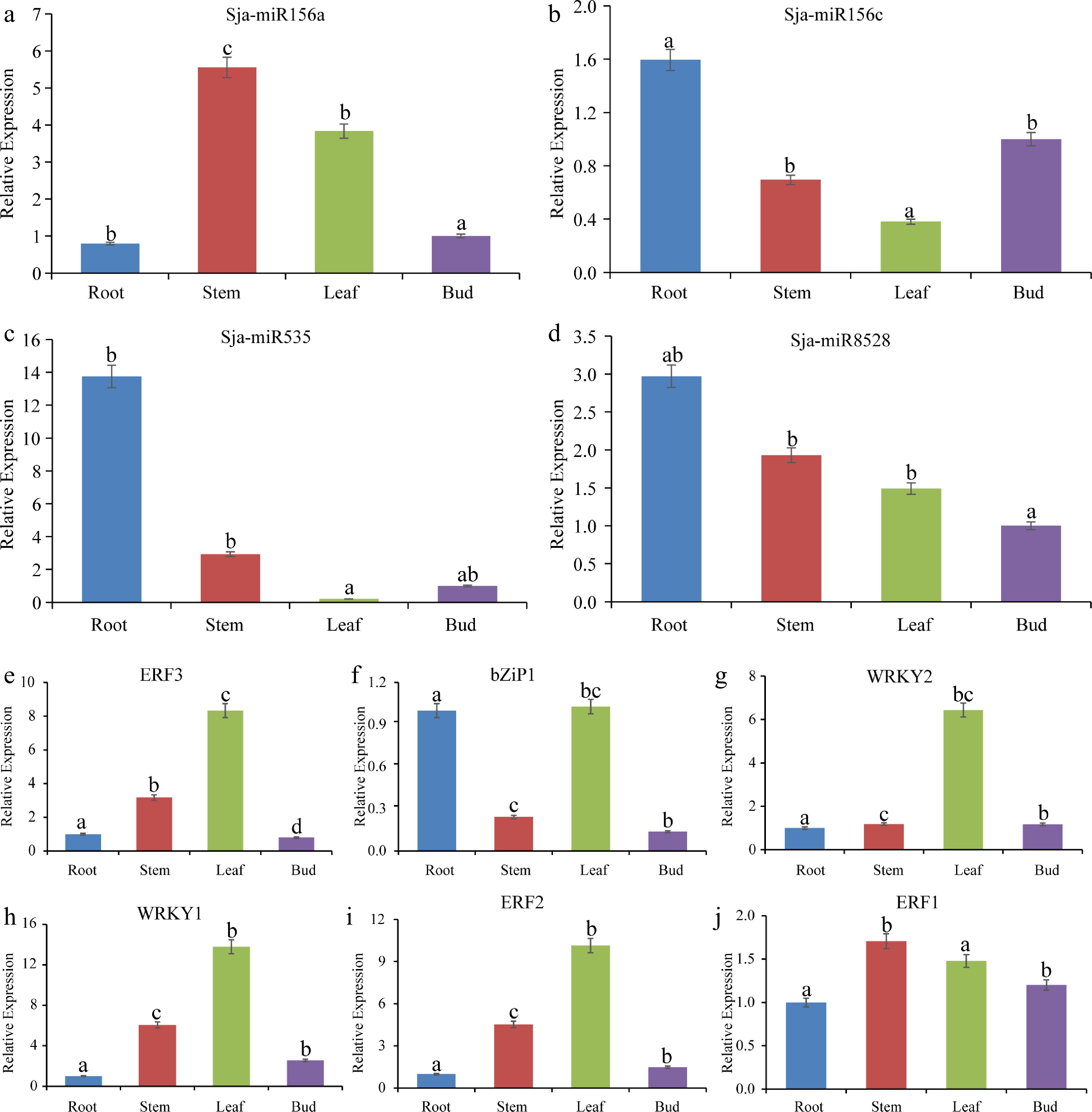 Expression relationship between microRNA and transcription factors in ...