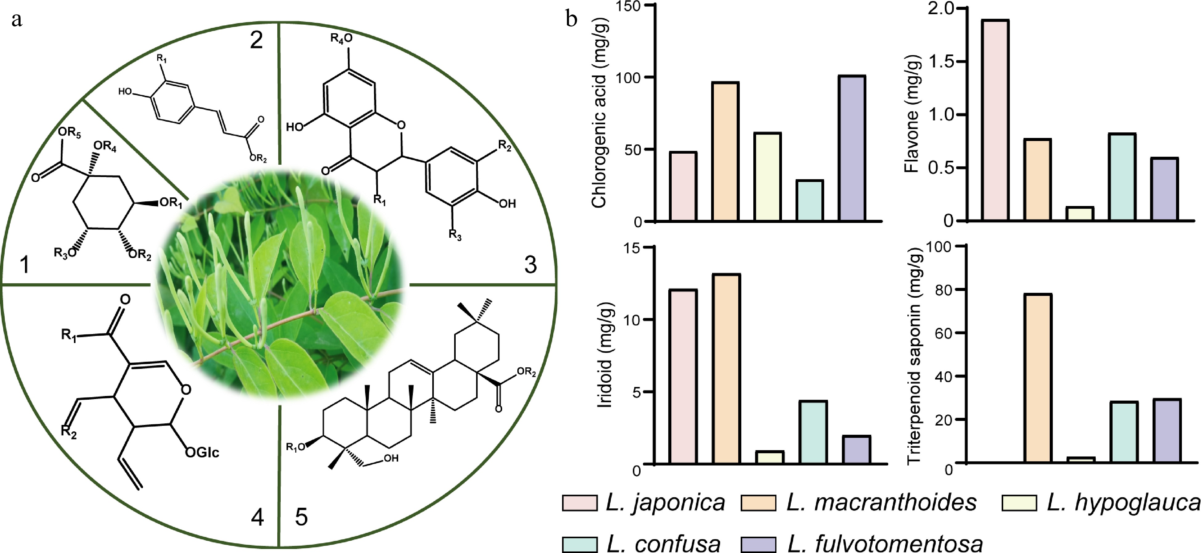 Research progress on the biosynthesis, metabolic engineering, and ...