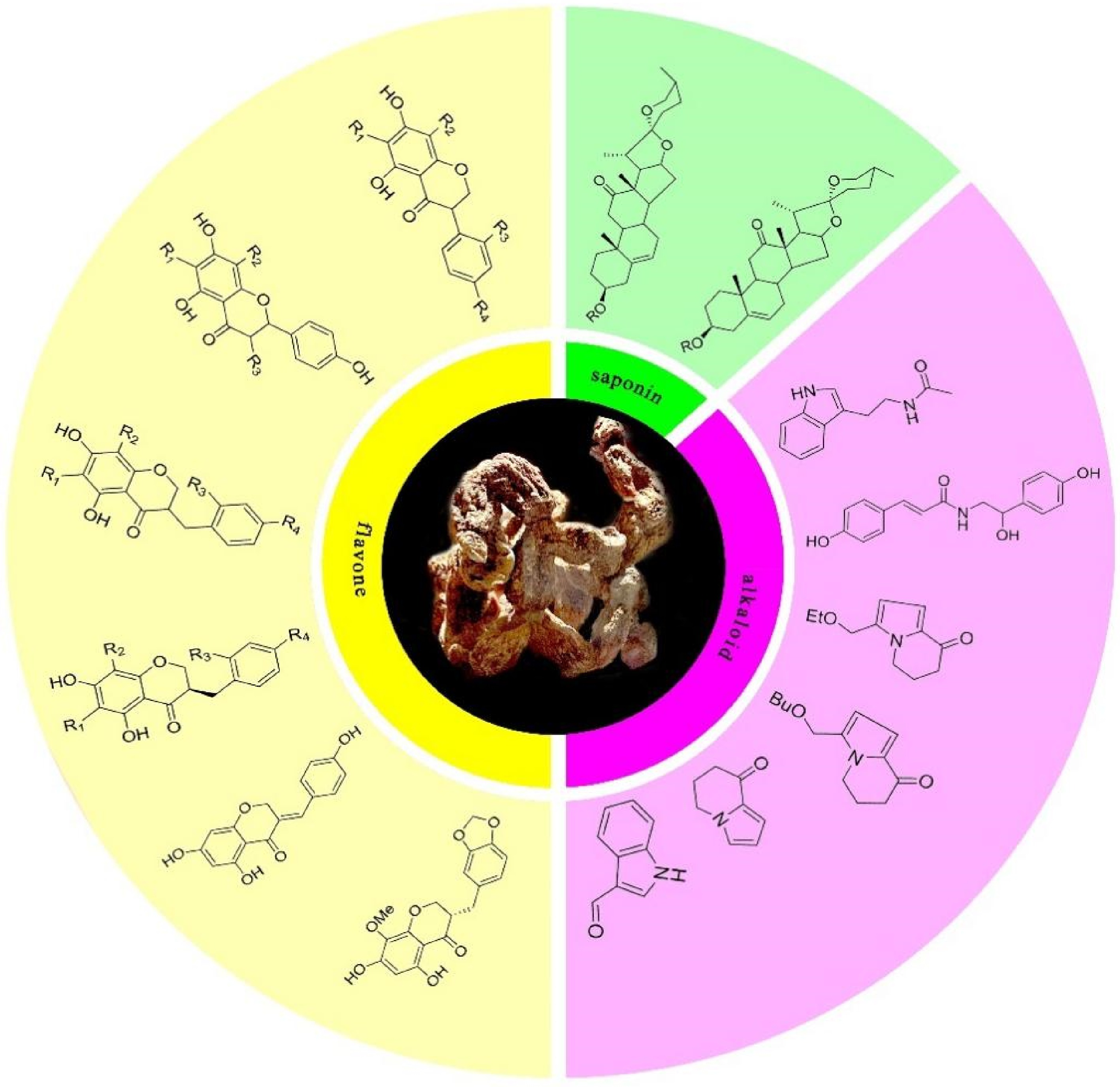 Biochemical compounds and pharmacological functions of a traditional ...
