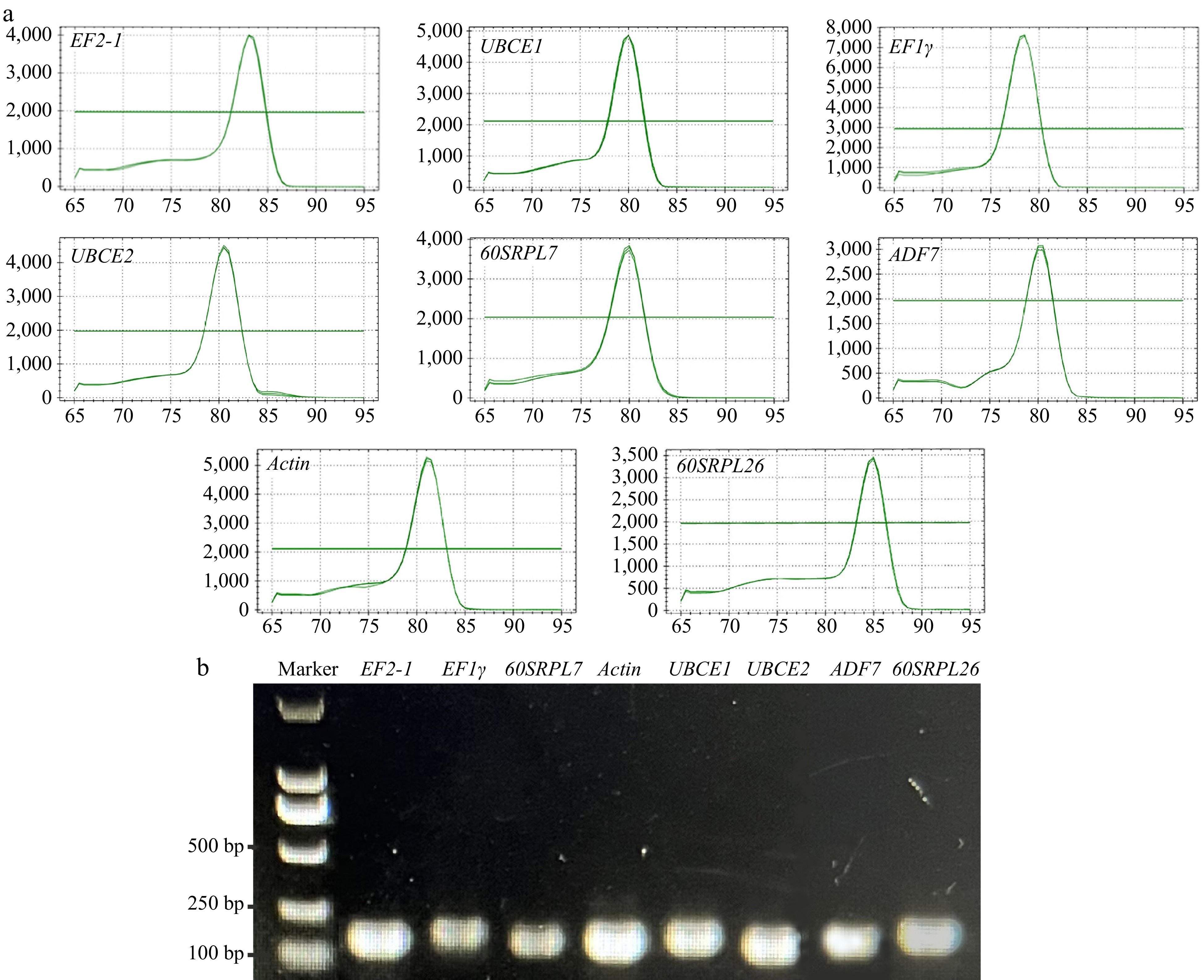 Identification and validation of reference genes for qRT-PCR analyses ...