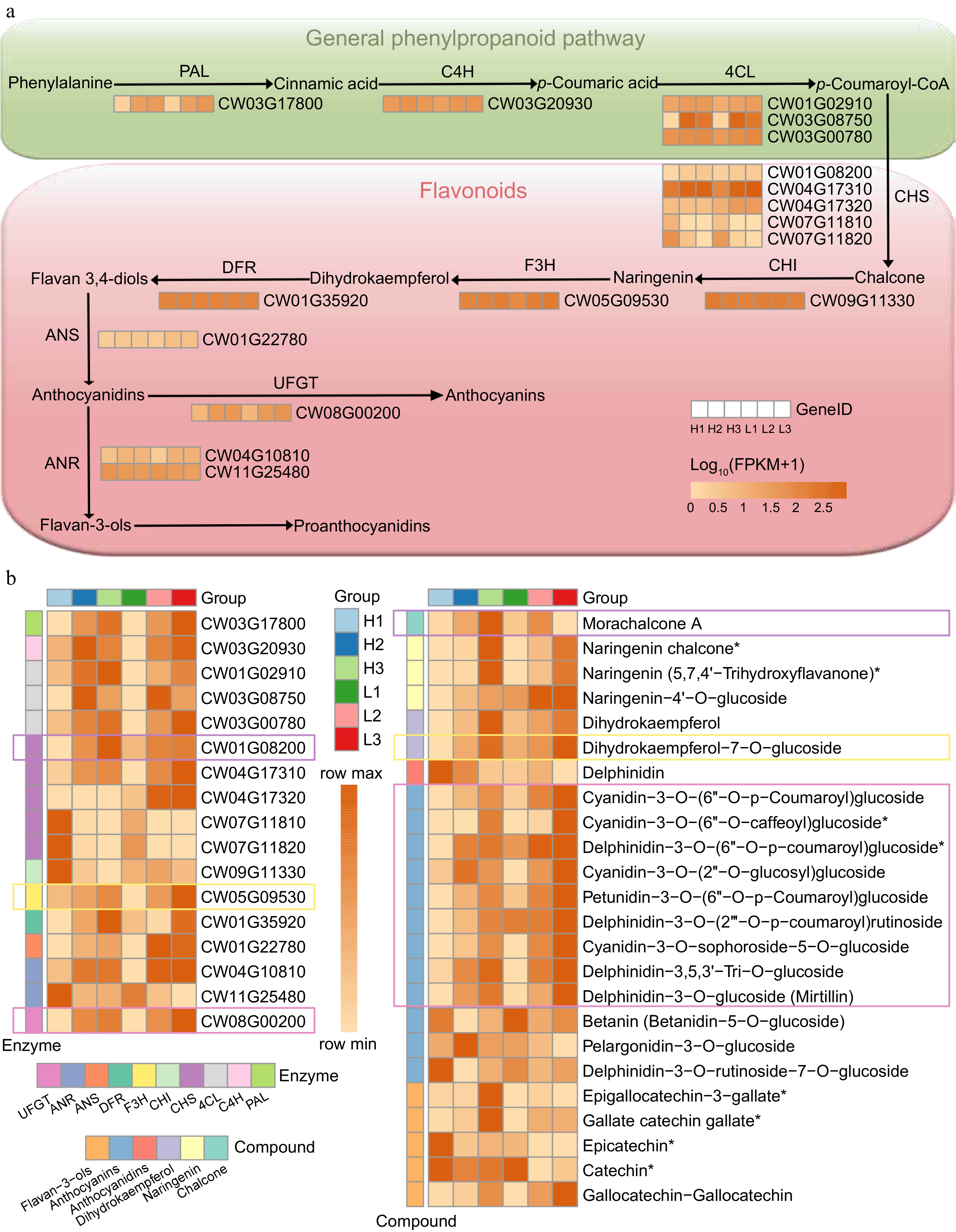 Integration of metabolome and transcriptome reveals flavonoid metabolic ...