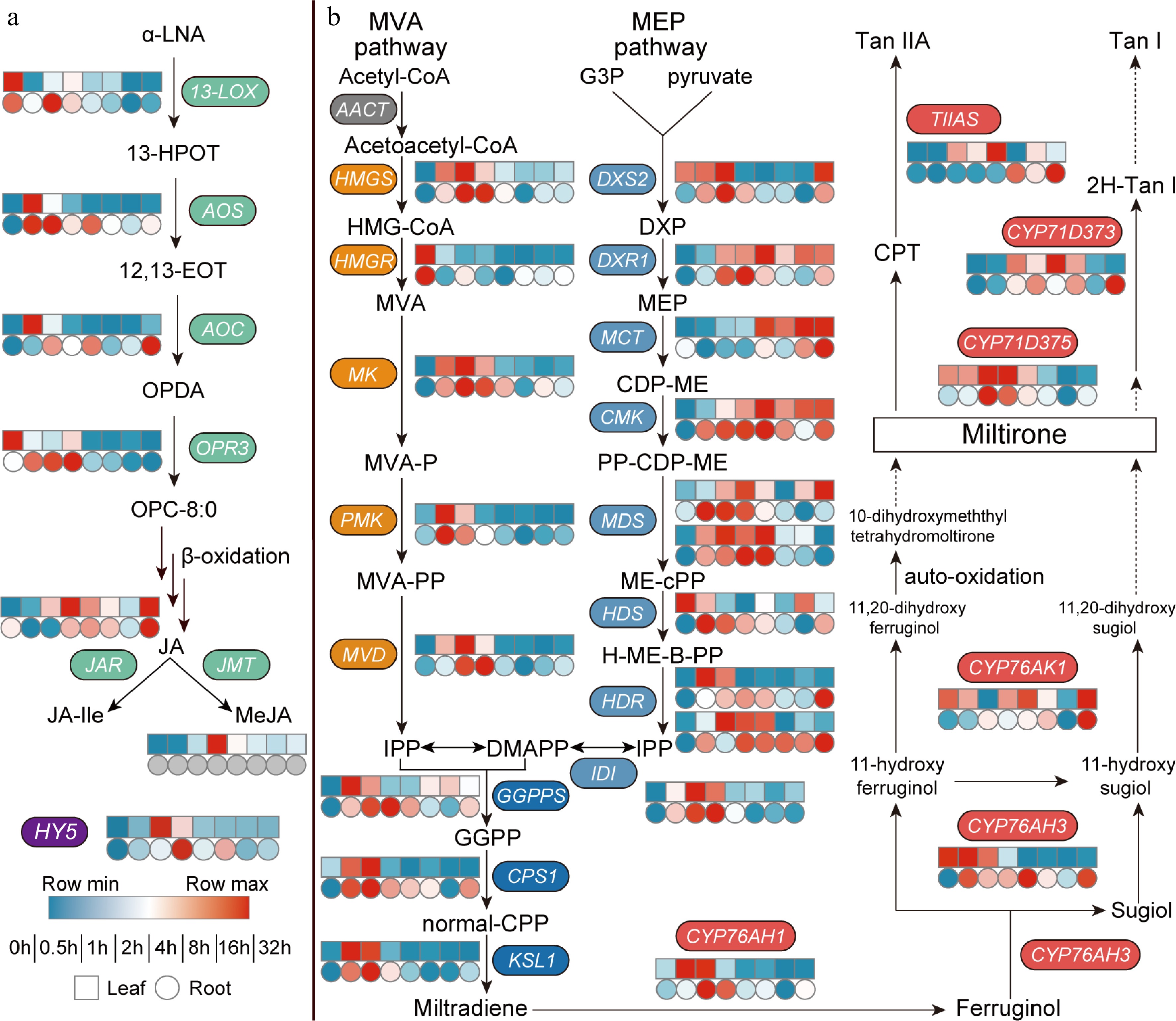 Transcriptome and yeast two-hybrid sequencing shed light on the ...