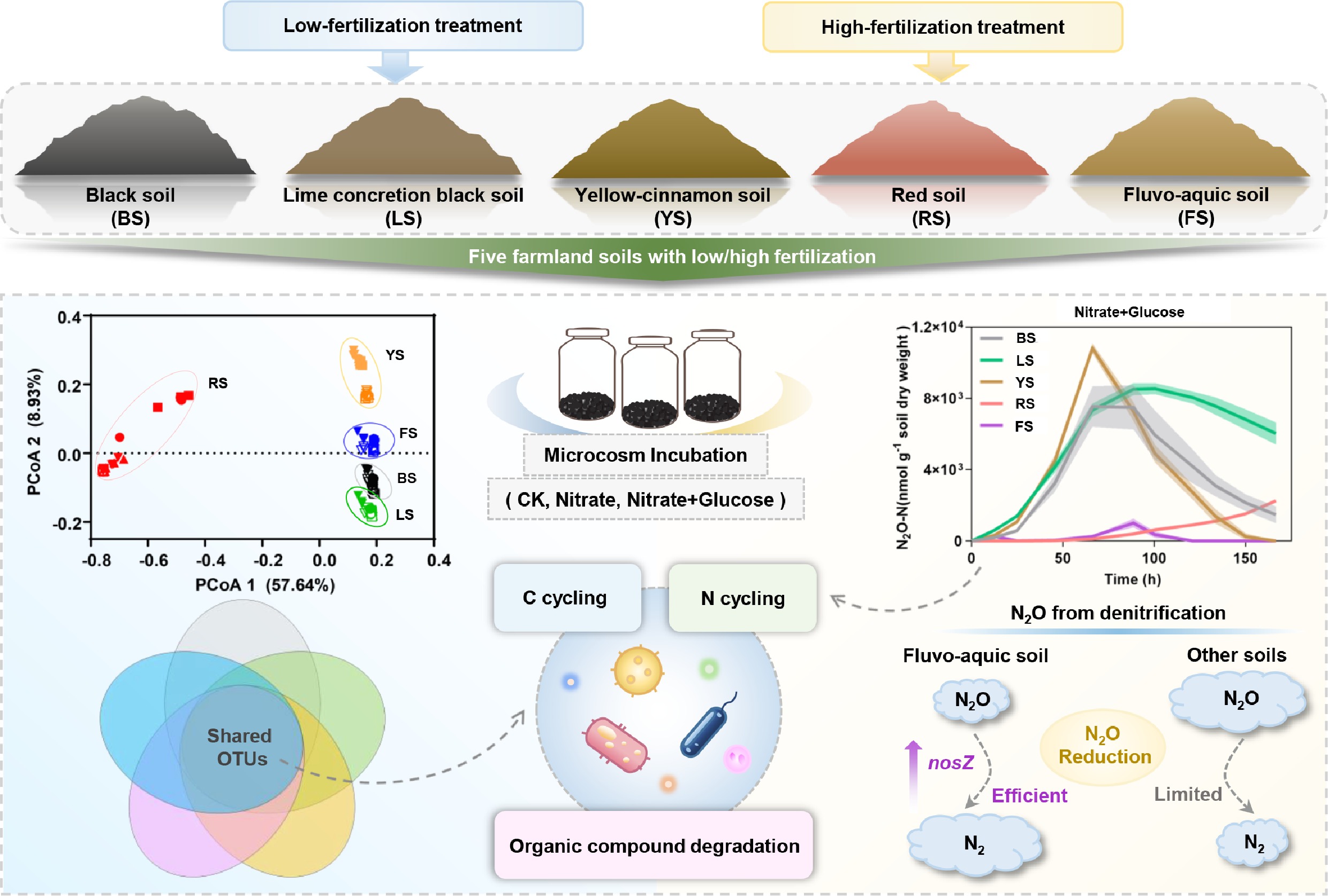 Soil Graphical Abstract Comparative study of microbial communities and denitrification gas ...