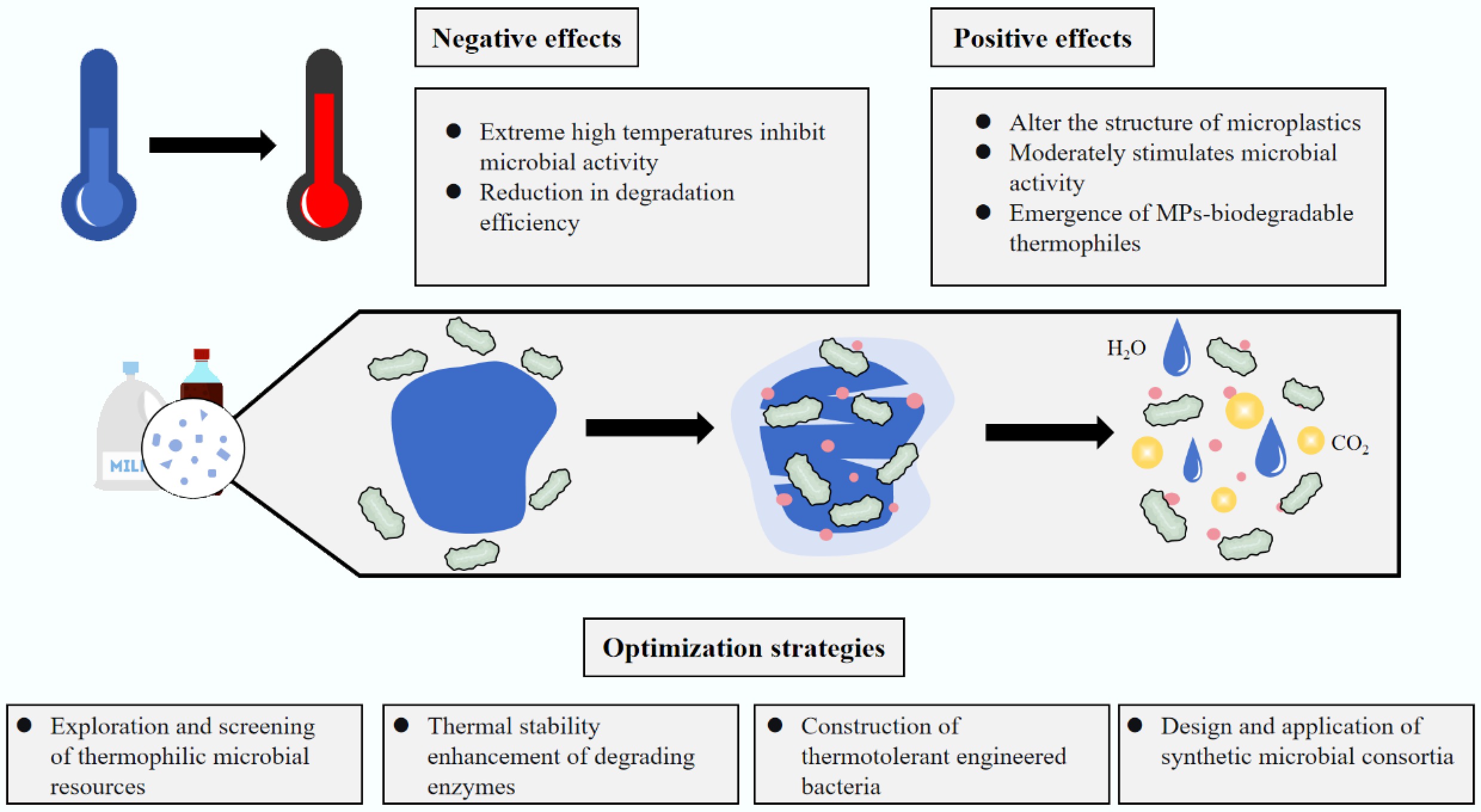 Impacts of high temperatures on microbial degradation of microplastics ...
