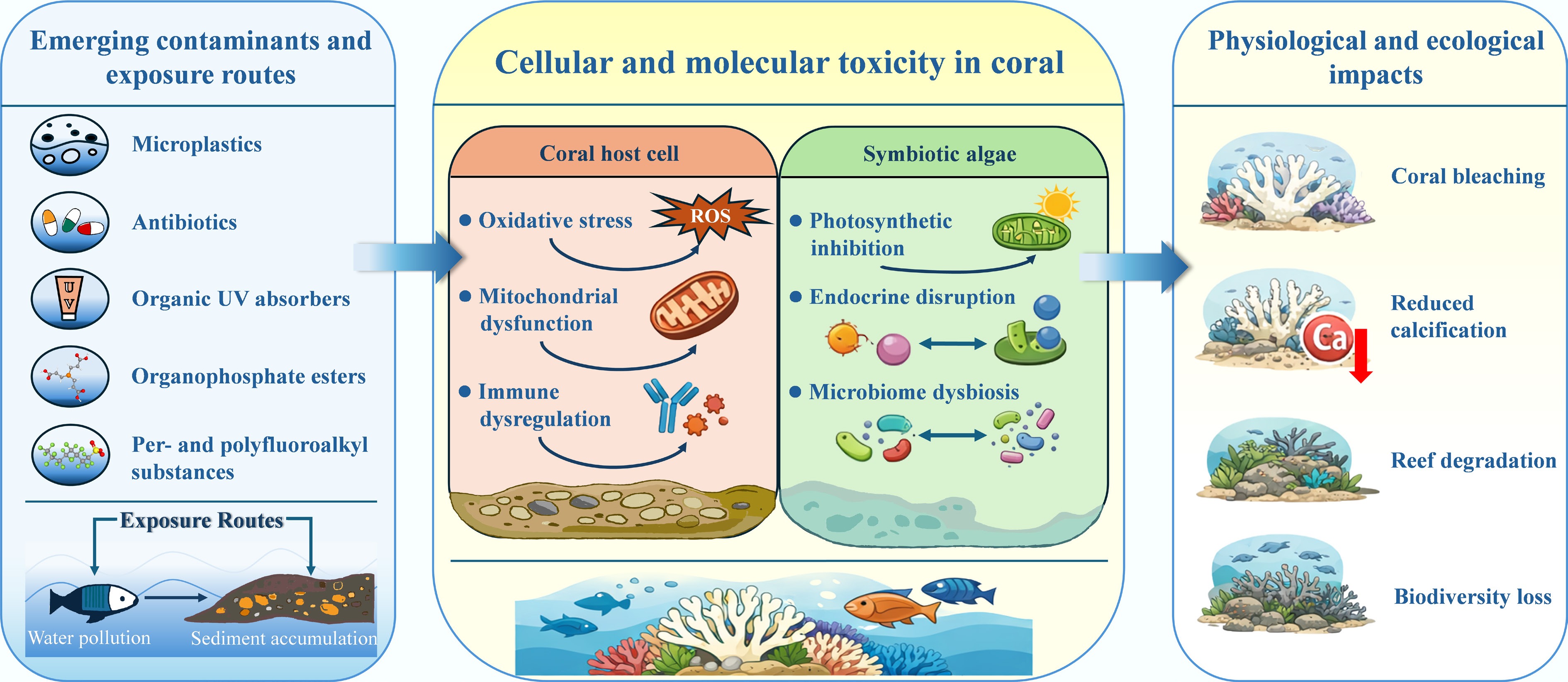 Emerging contaminants in coral reef ecosystems environmental occurrence ...