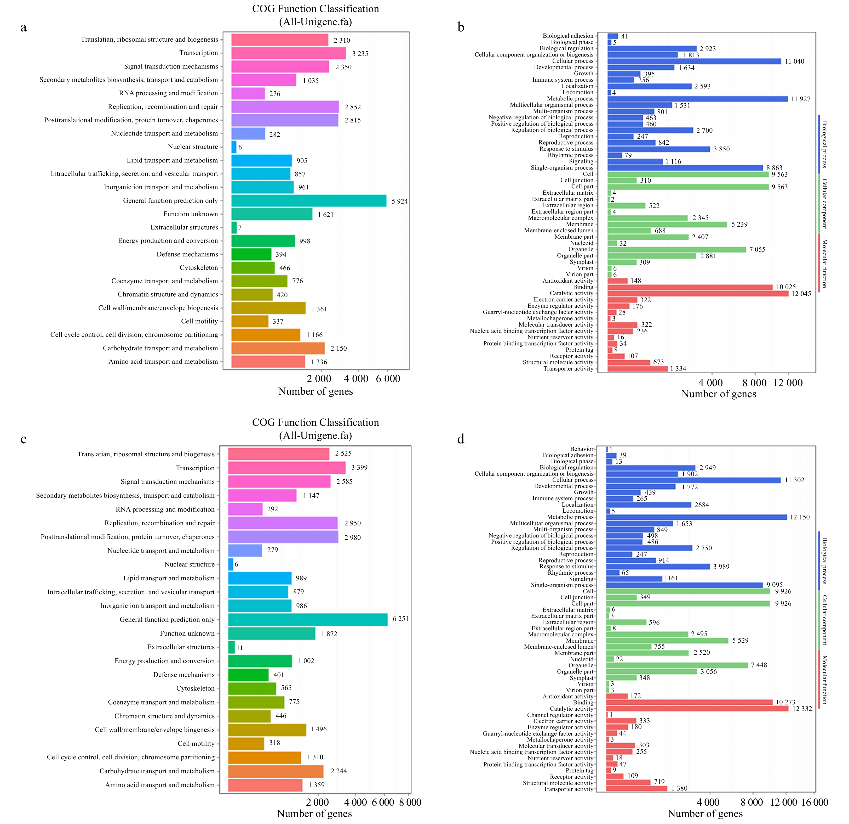 Screening and functional analysis of potential S genes in Chrysanthemum