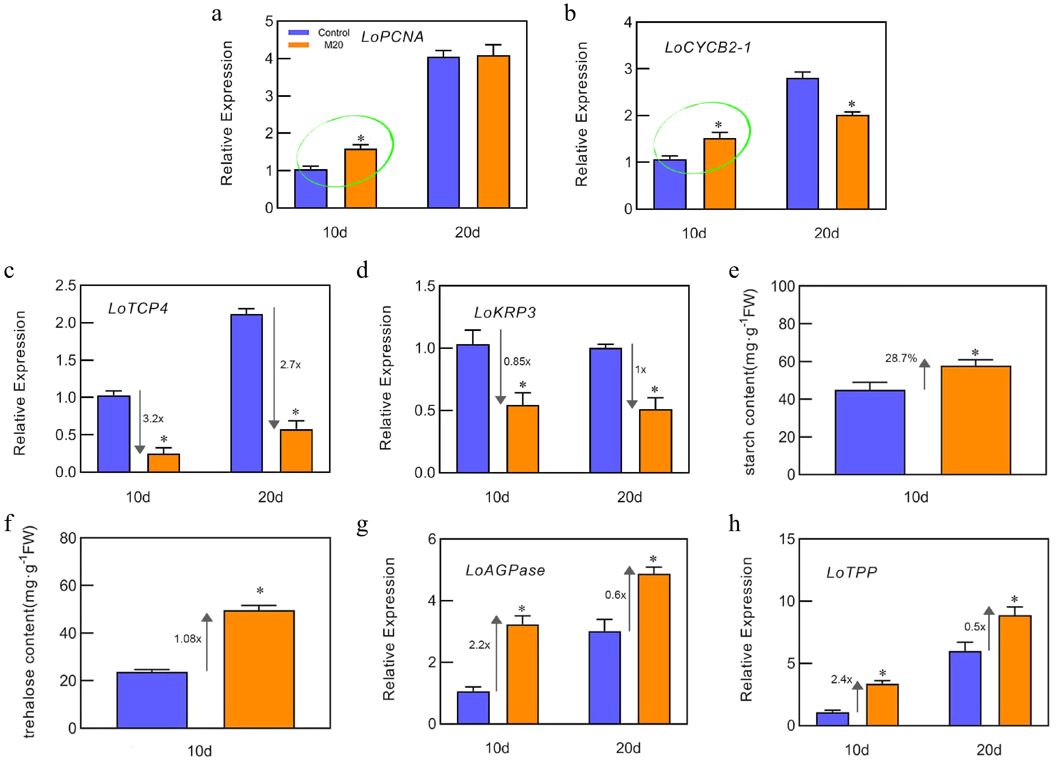 Melatonin regulates lily bulblet development through the LoBPM3 - LoRAV ...