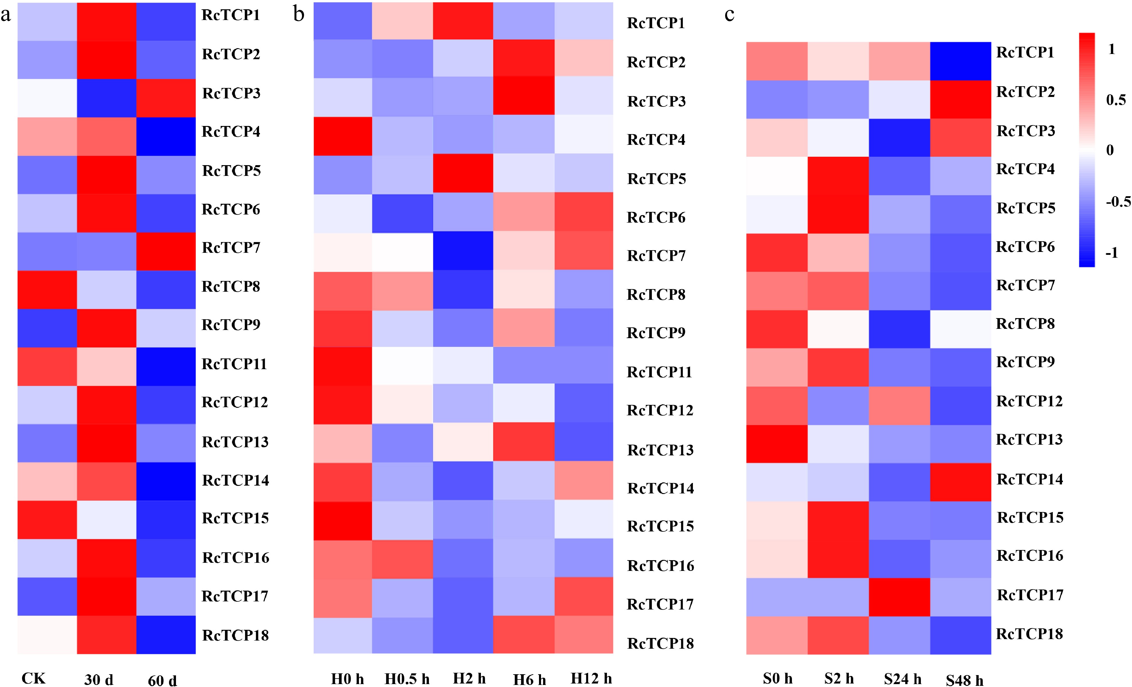 Genome-wide identification and analysis of TCP transcription factor ...