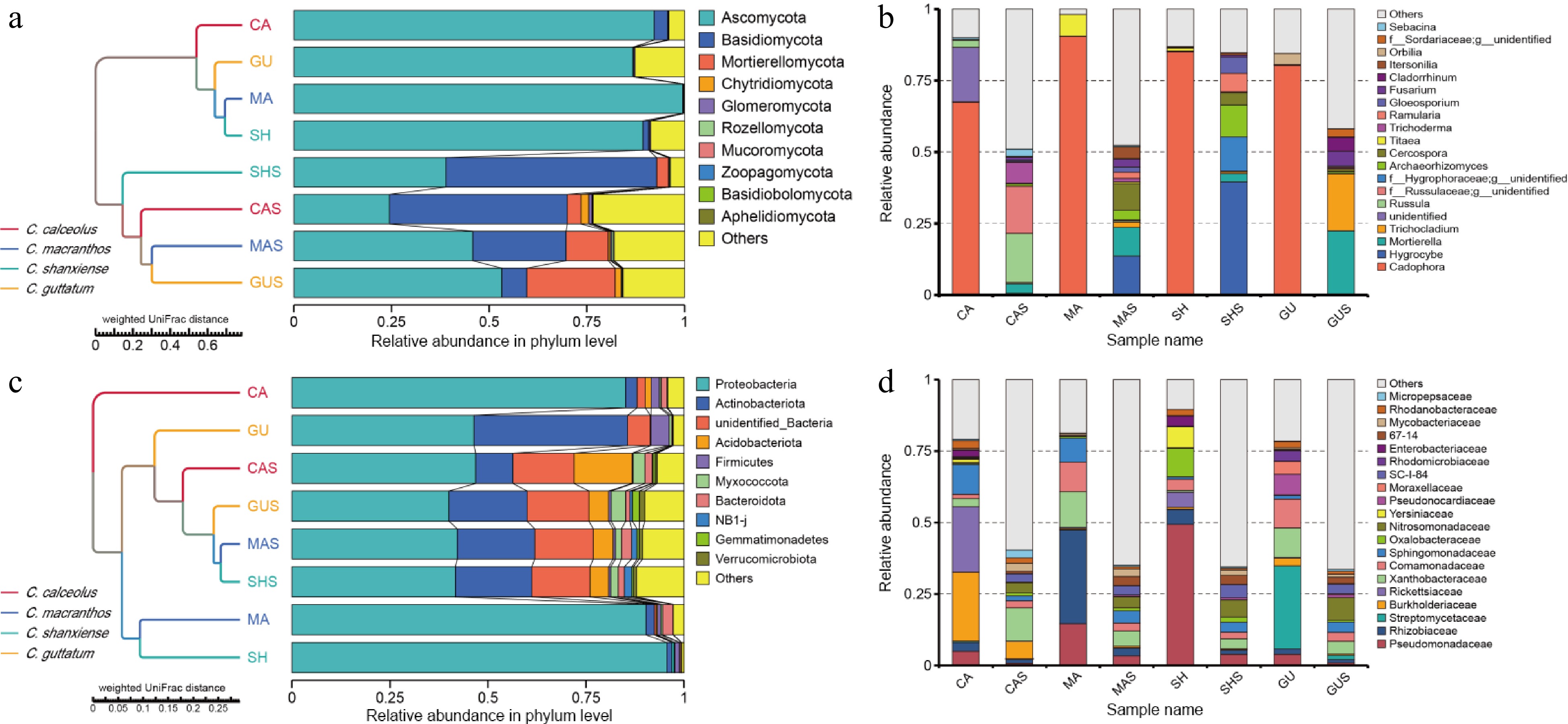 Microbial community structure and diversity of endophytic and ...