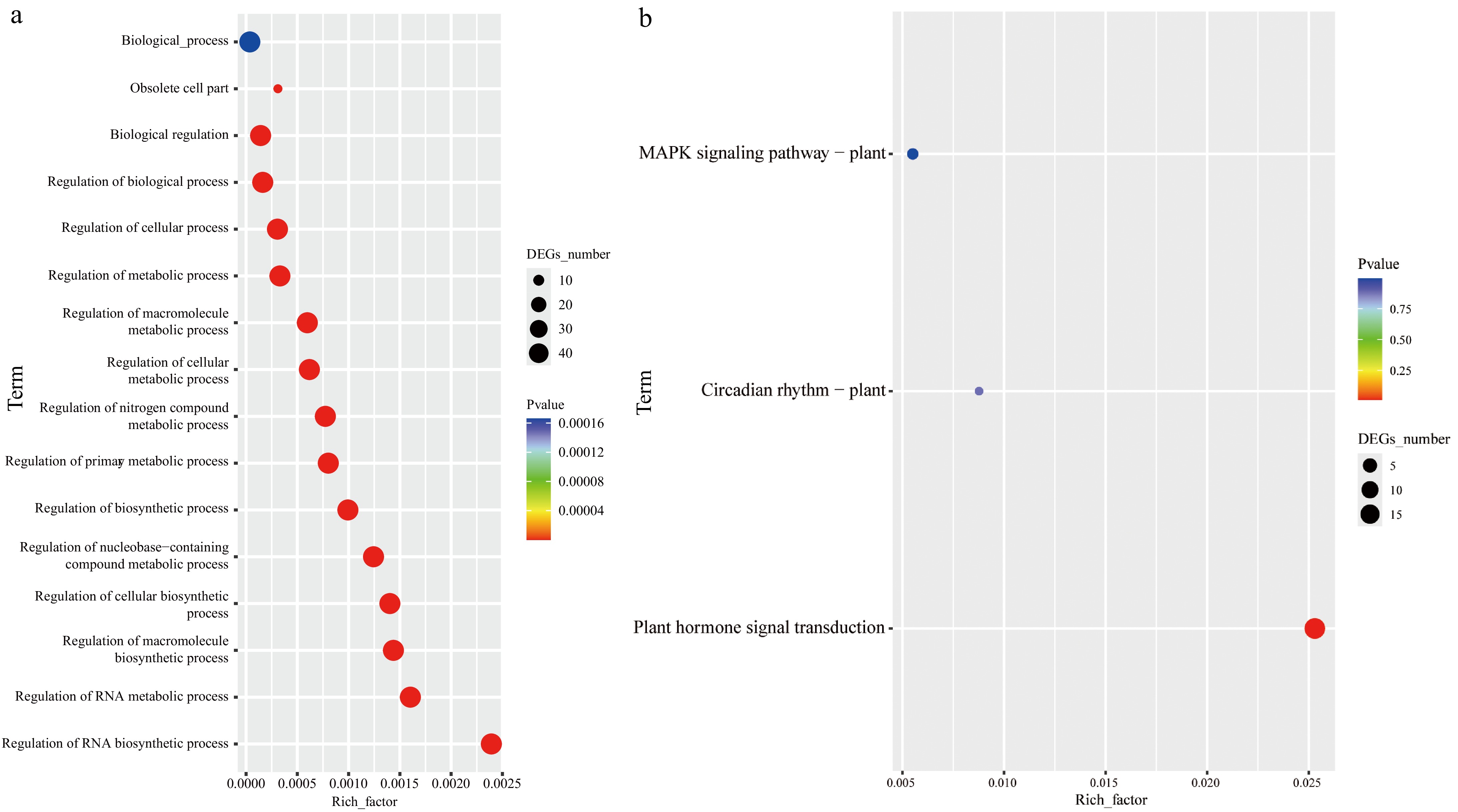 Genome-wide identification and expression profiling of the bZIP gene ...