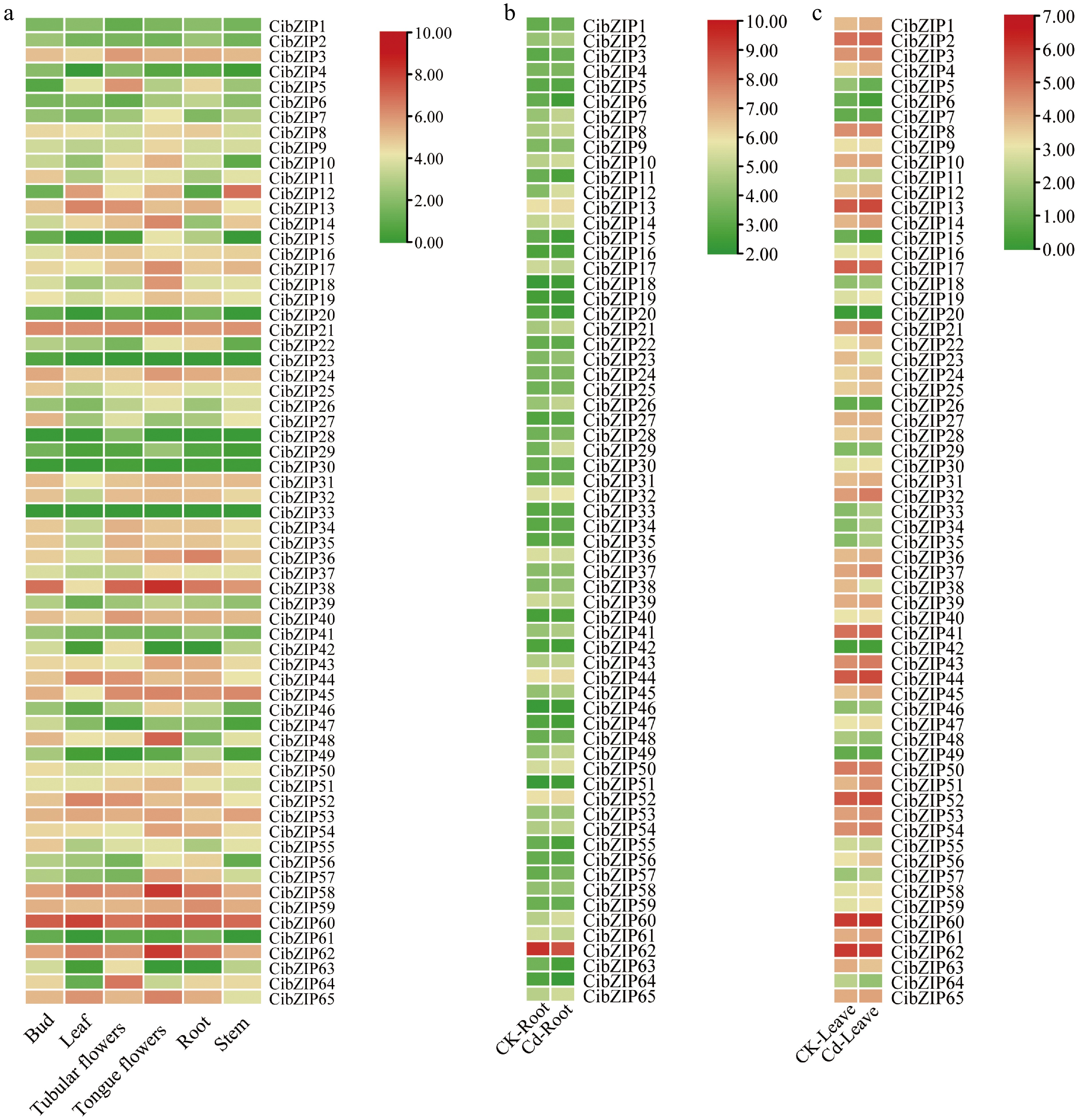Genome-wide identification and expression profiling of the bZIP gene ...