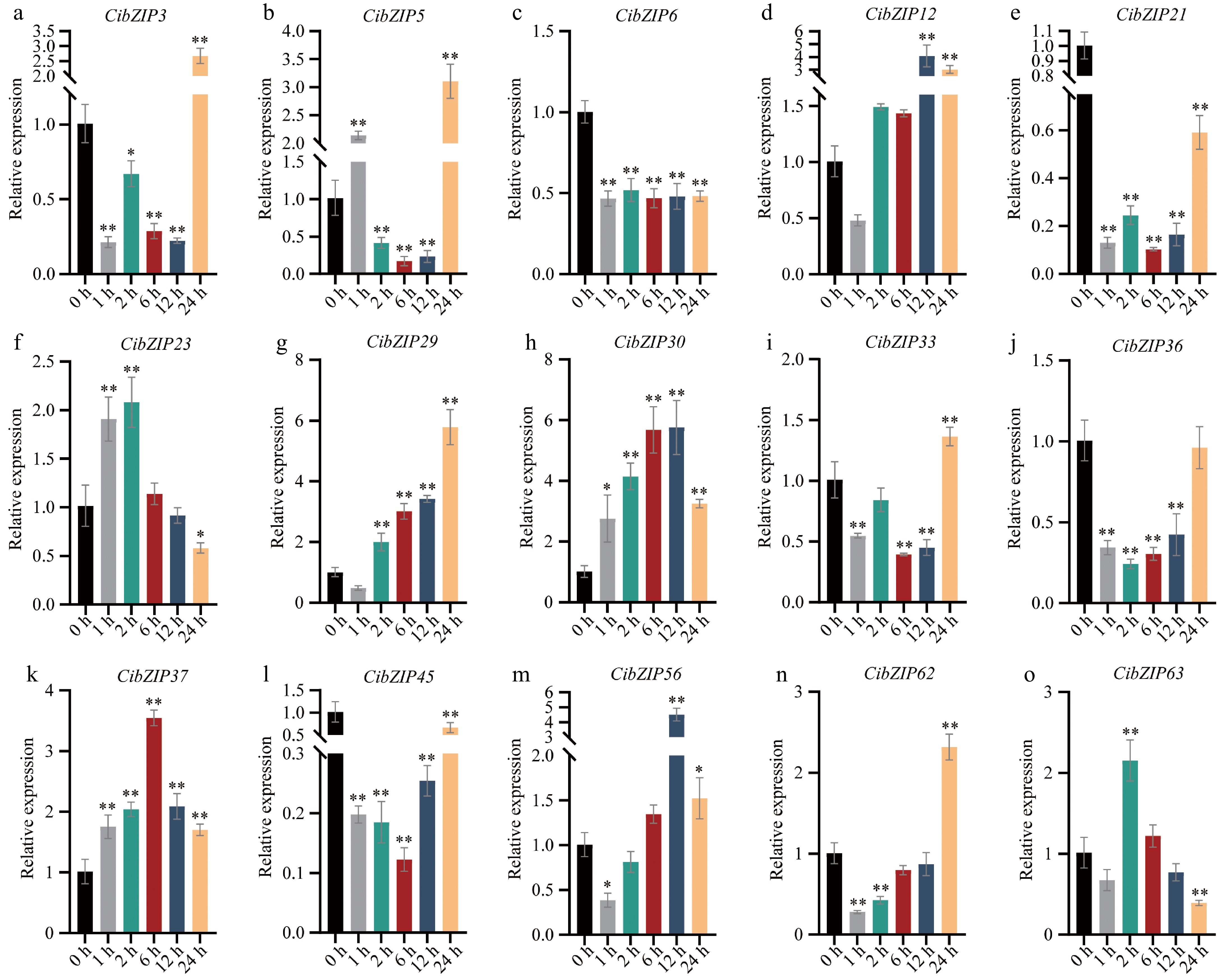 Genome-wide identification and expression profiling of the bZIP gene ...