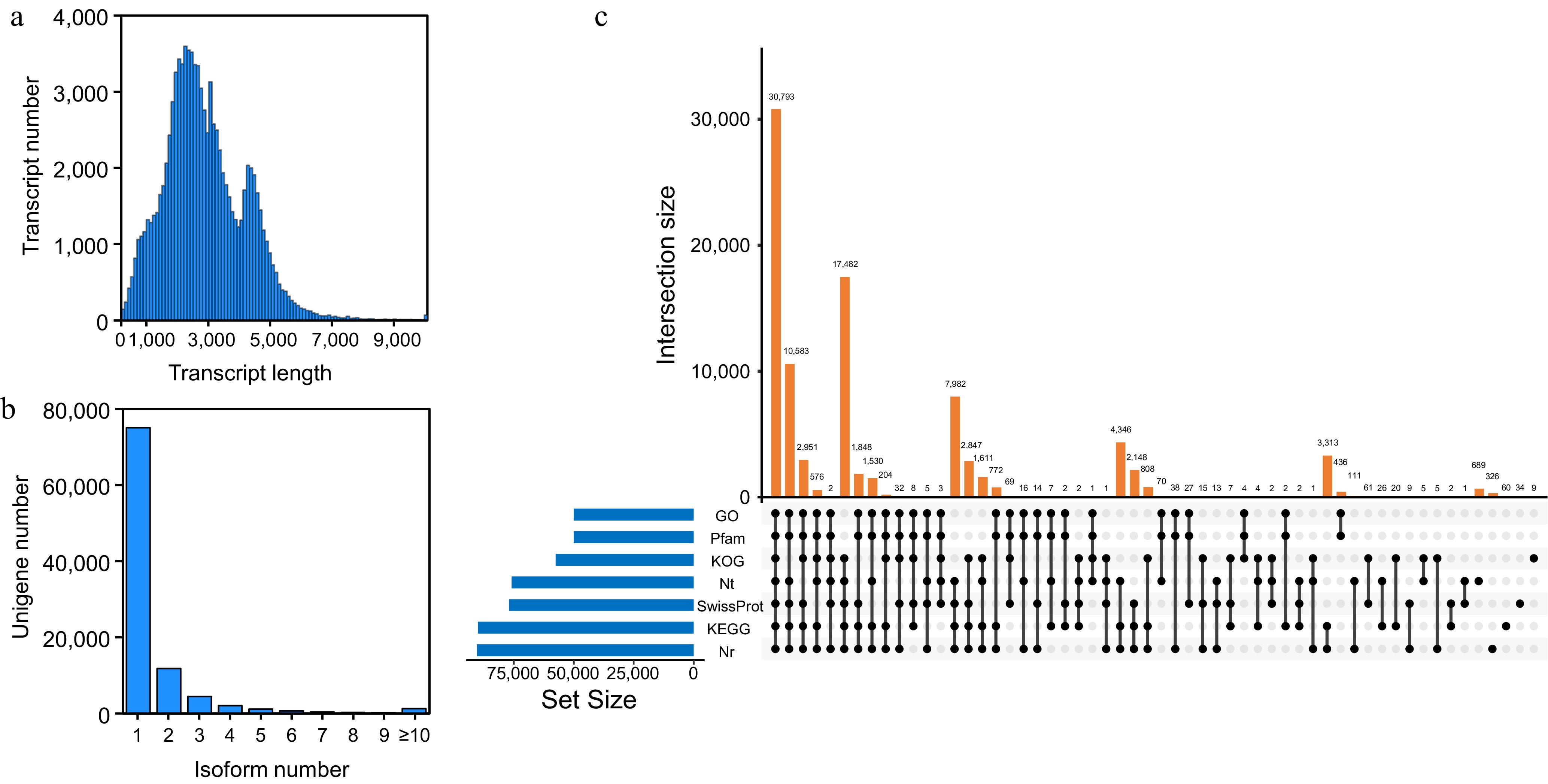 Full-length transcriptome sequencing provides insights into chlorogenic ...