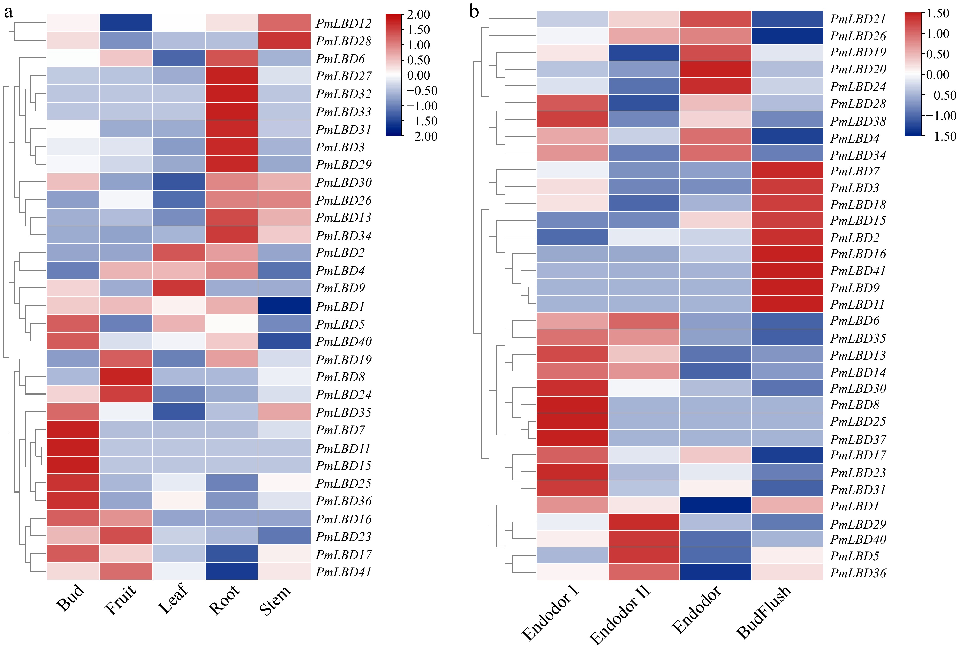 Genome-Wide Identification and Characterization of the Lateral Organ ...