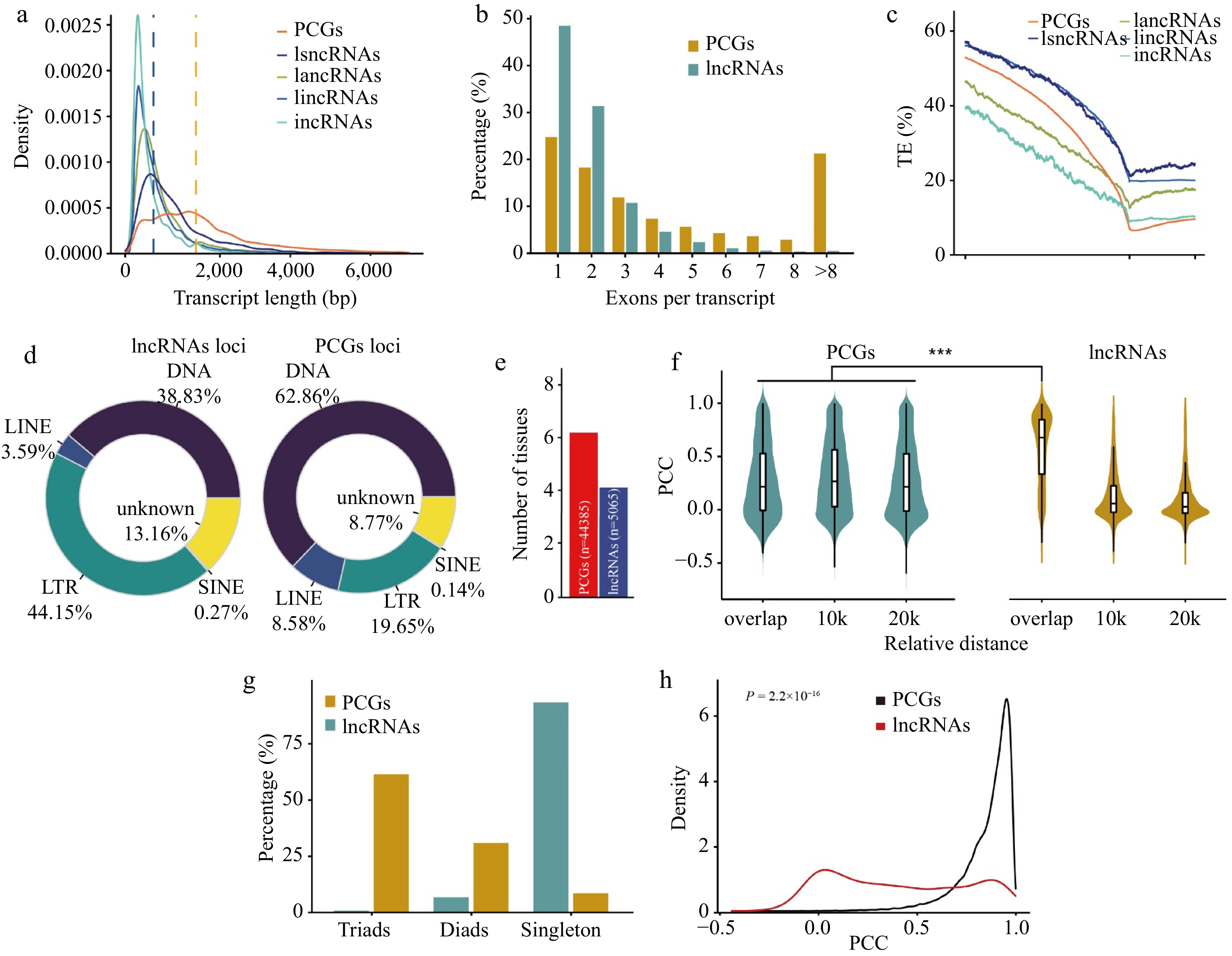 A comprehensive atlas of long non-coding RNAs provides insight into ...
