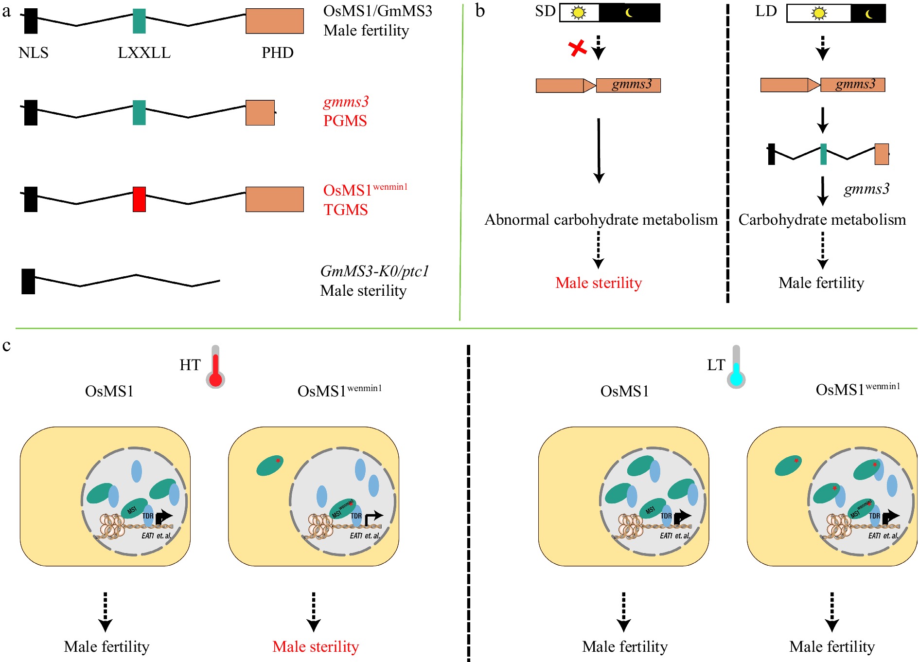 Molecular mechanisms underlying plant environment-sensitive genic male ...