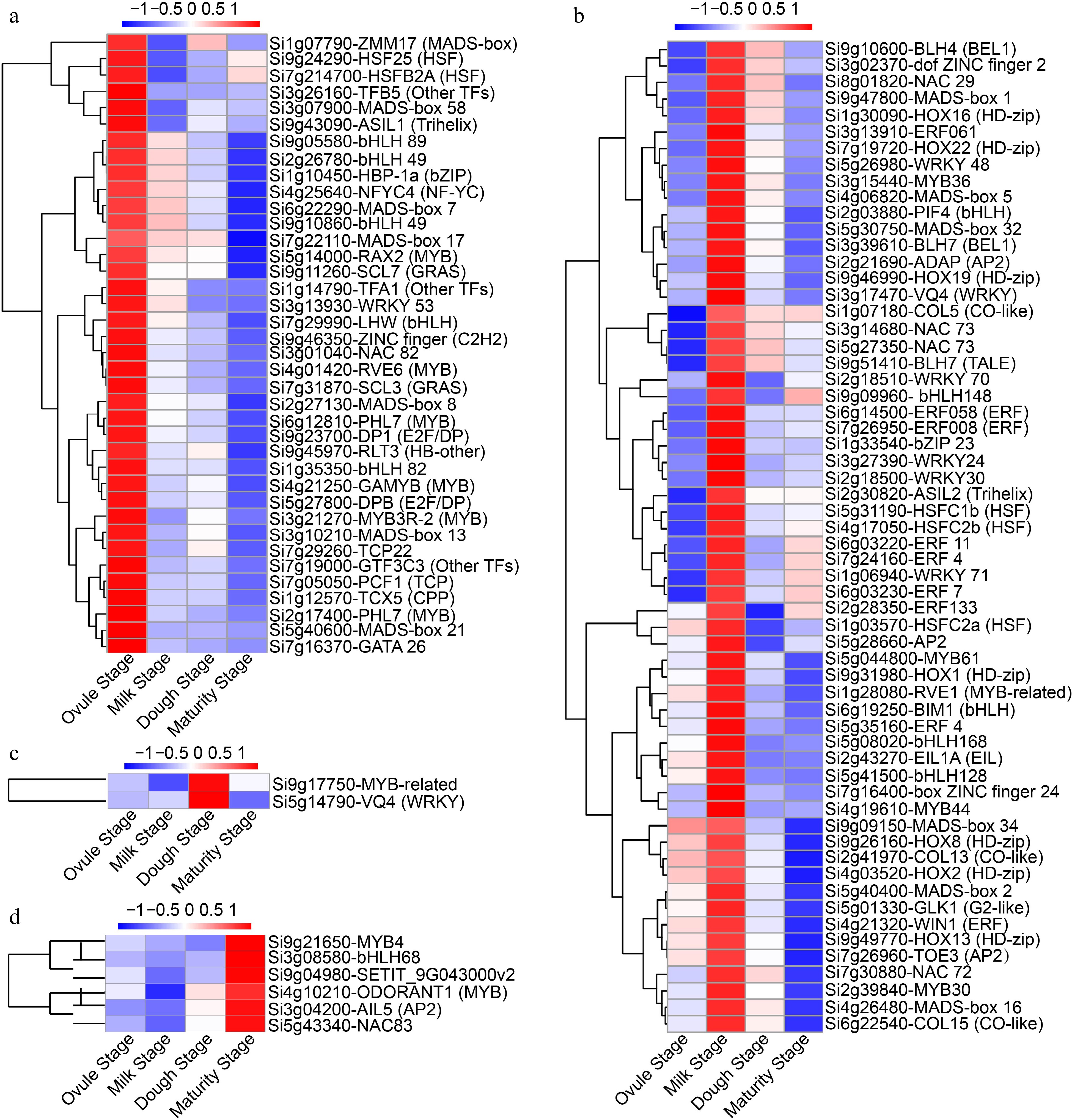 Dynamic Transcriptome Landscape Dynamic transcriptome landscape of foxtail millet grain development