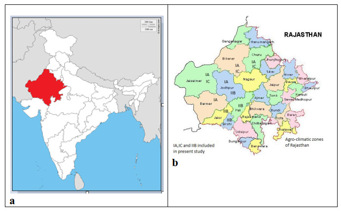 Diversity of Gasteromycetes in Rajasthan, India-I