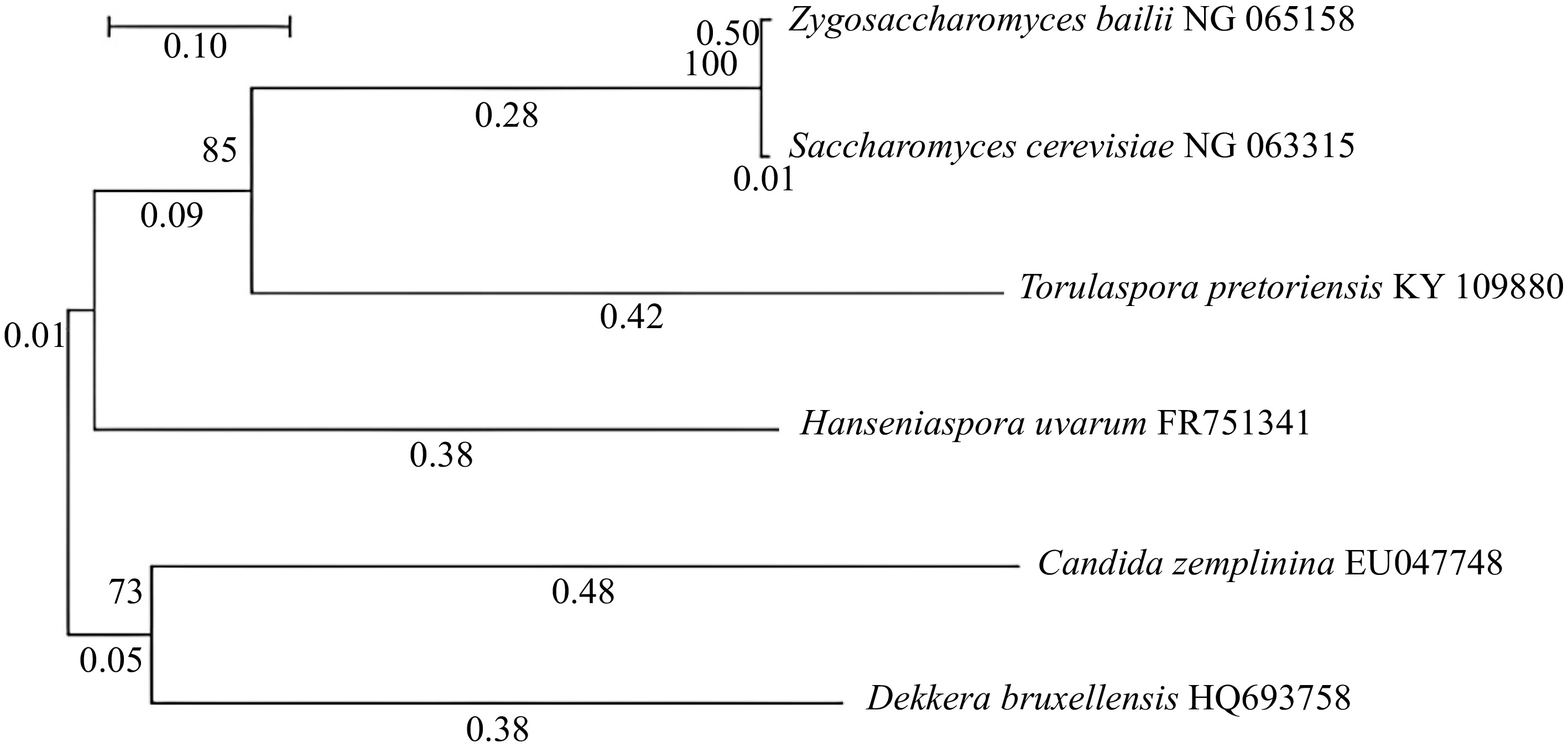 Quorum sensing capability of wine microbial consortium involved in ...