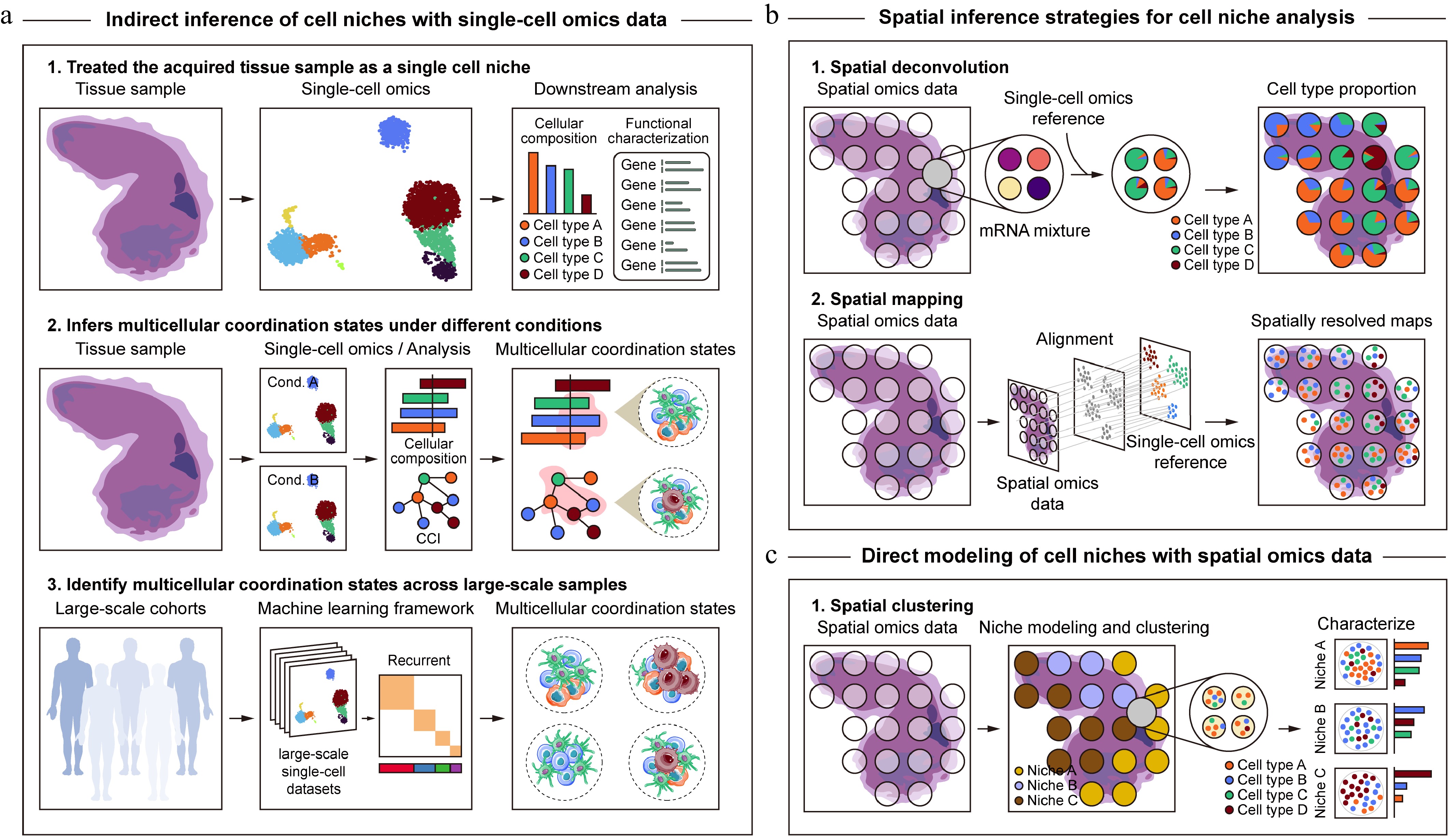 AI-driven deciphering of cell niches with single-cell and spatial omics ...