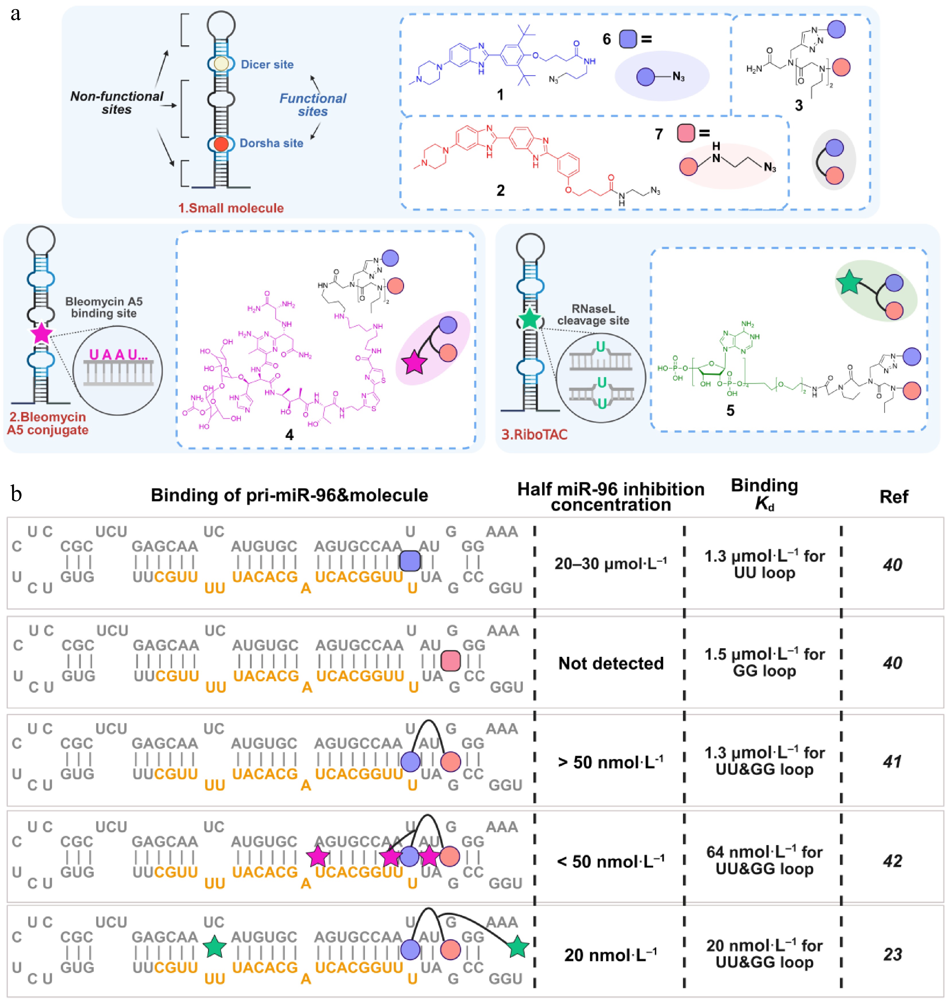 Ribotac Small-molecule-mediated RNA targeting: emerging strategies and ...