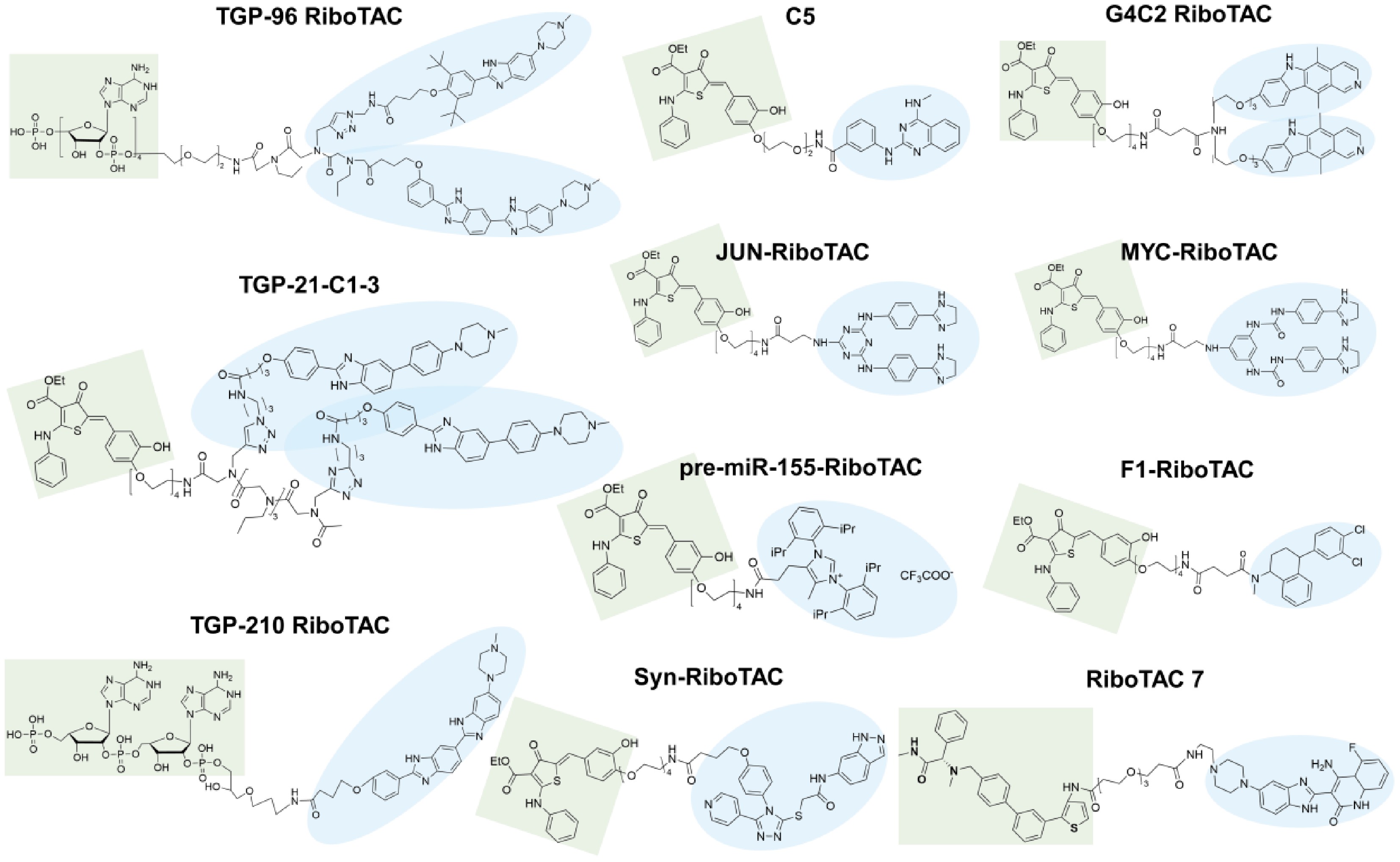 Ribotac Small-molecule-mediated RNA targeting: emerging strategies and ...