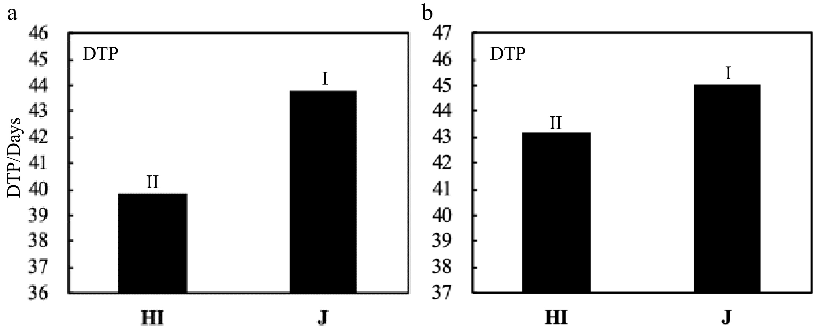 different-developments-of-rice-leaf-and-their-response-to-nitrogen