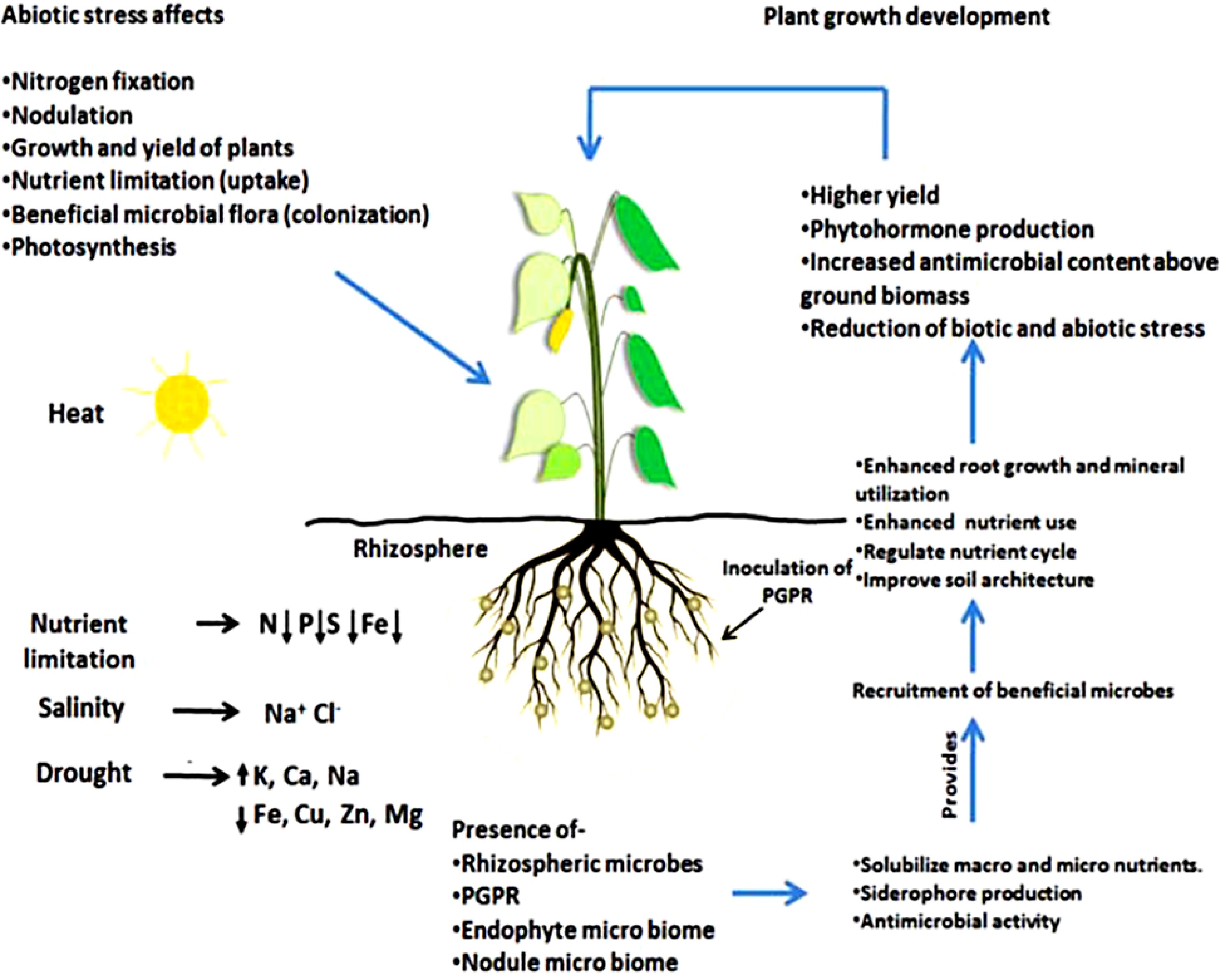 Legumes in conservation agriculture: A sustainable approach in rice ...