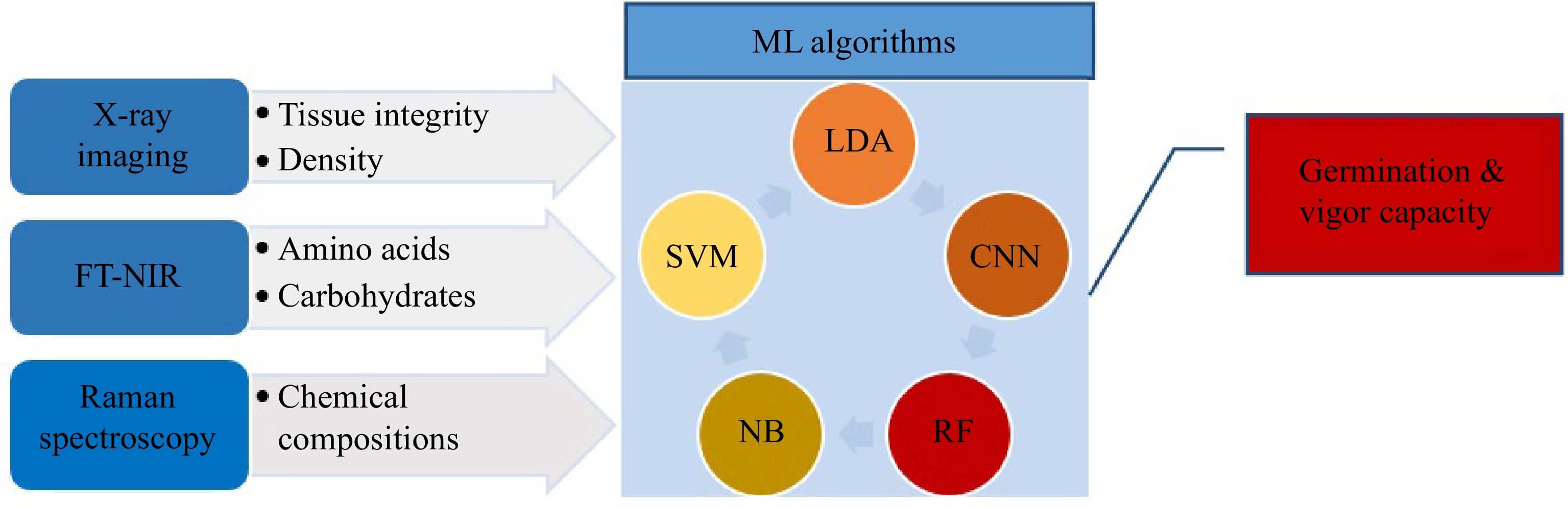 Precision seed certification through machine learning