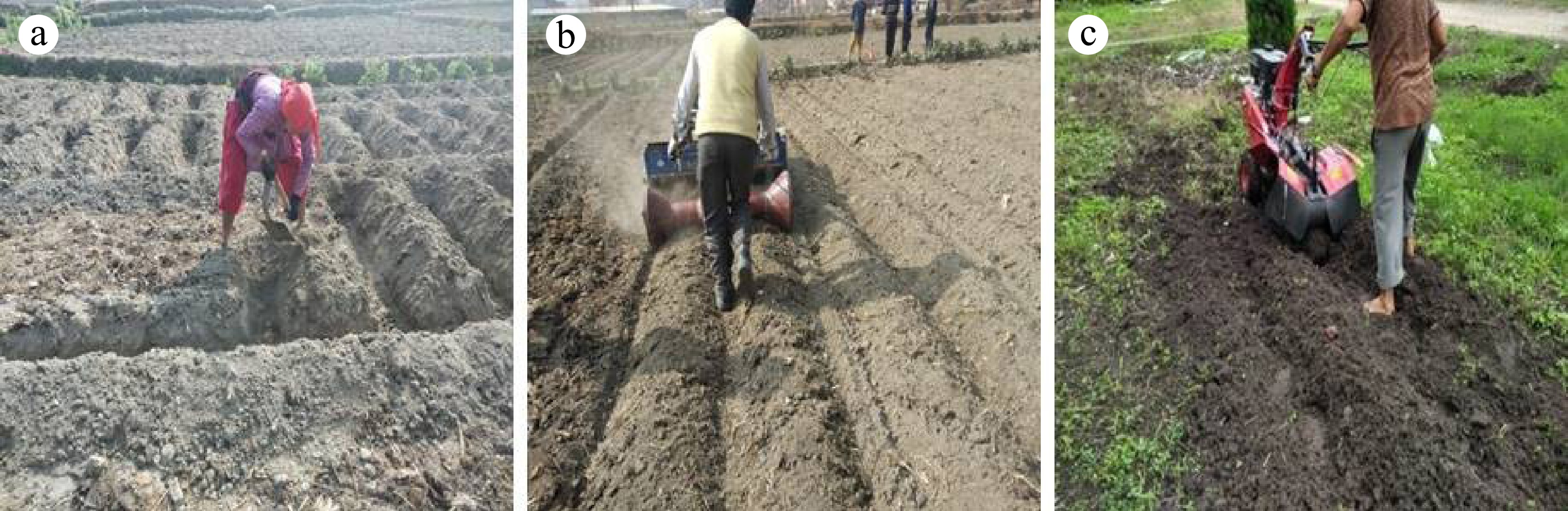 An overview on agricultural engineering technologies for potato farming ...