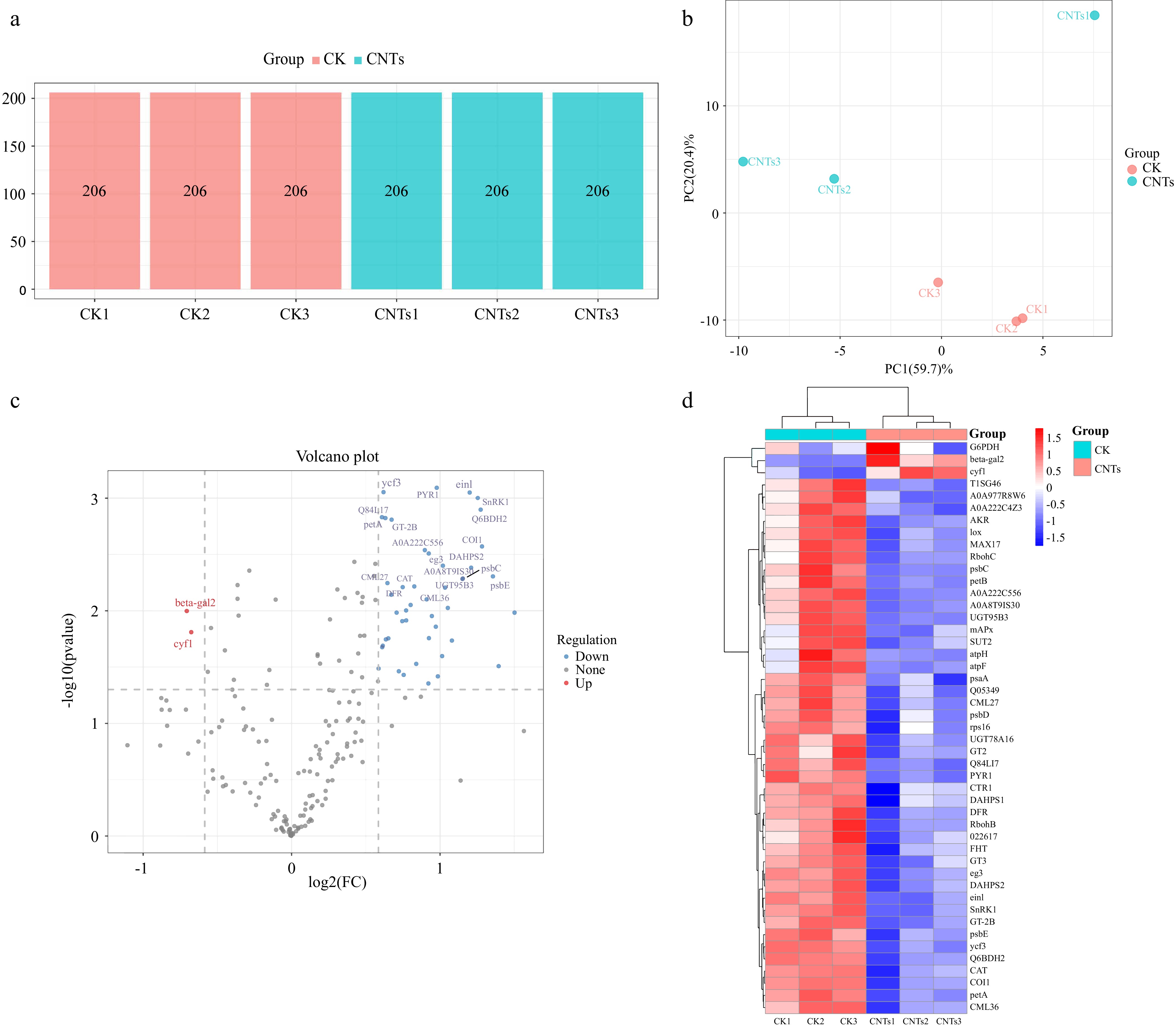 Proteomics and metabolomics analysis of the strawberry adventitious ...
