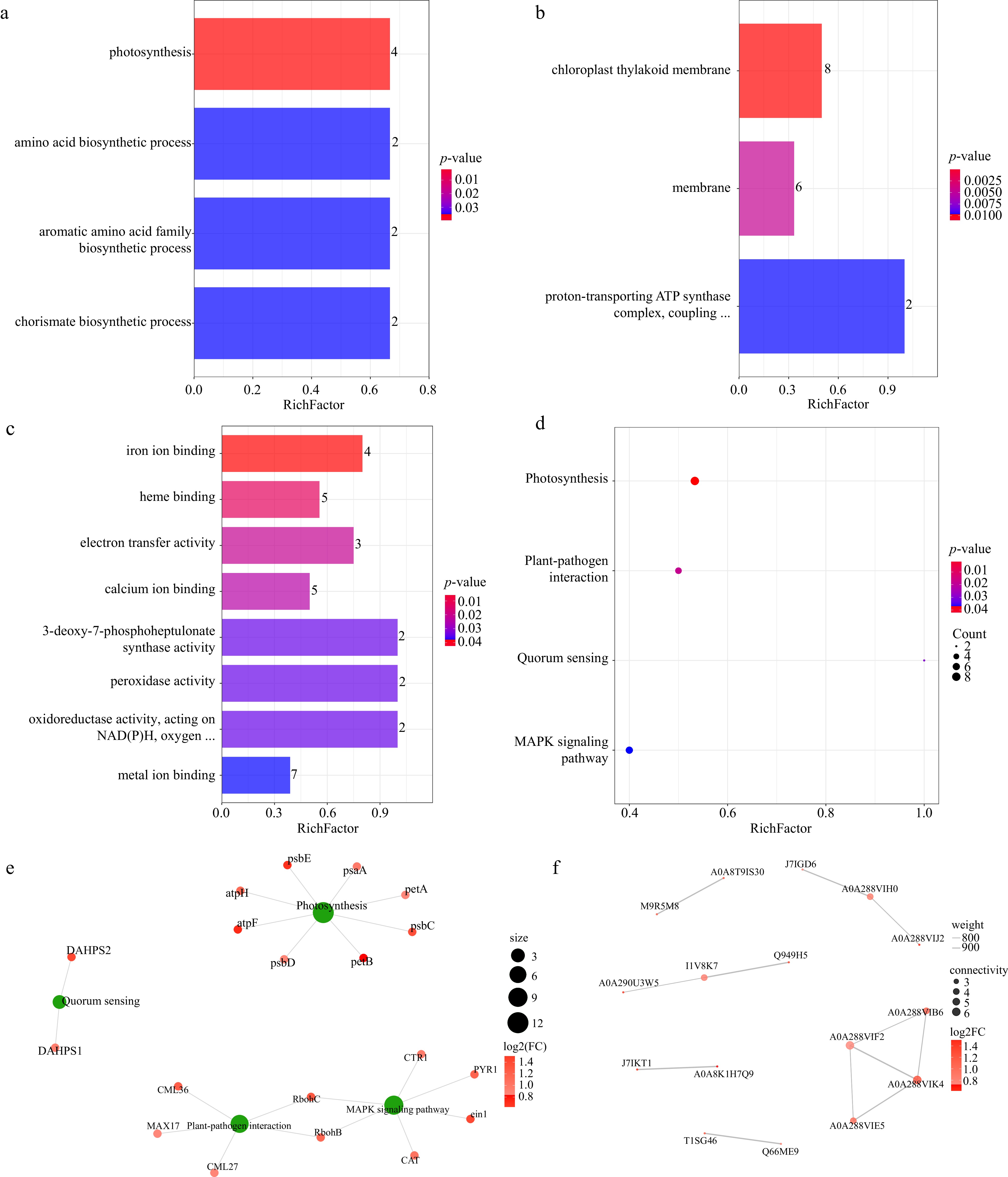 Root Activity Proteomics and metabolomics analysis of the strawberry adventitious ...