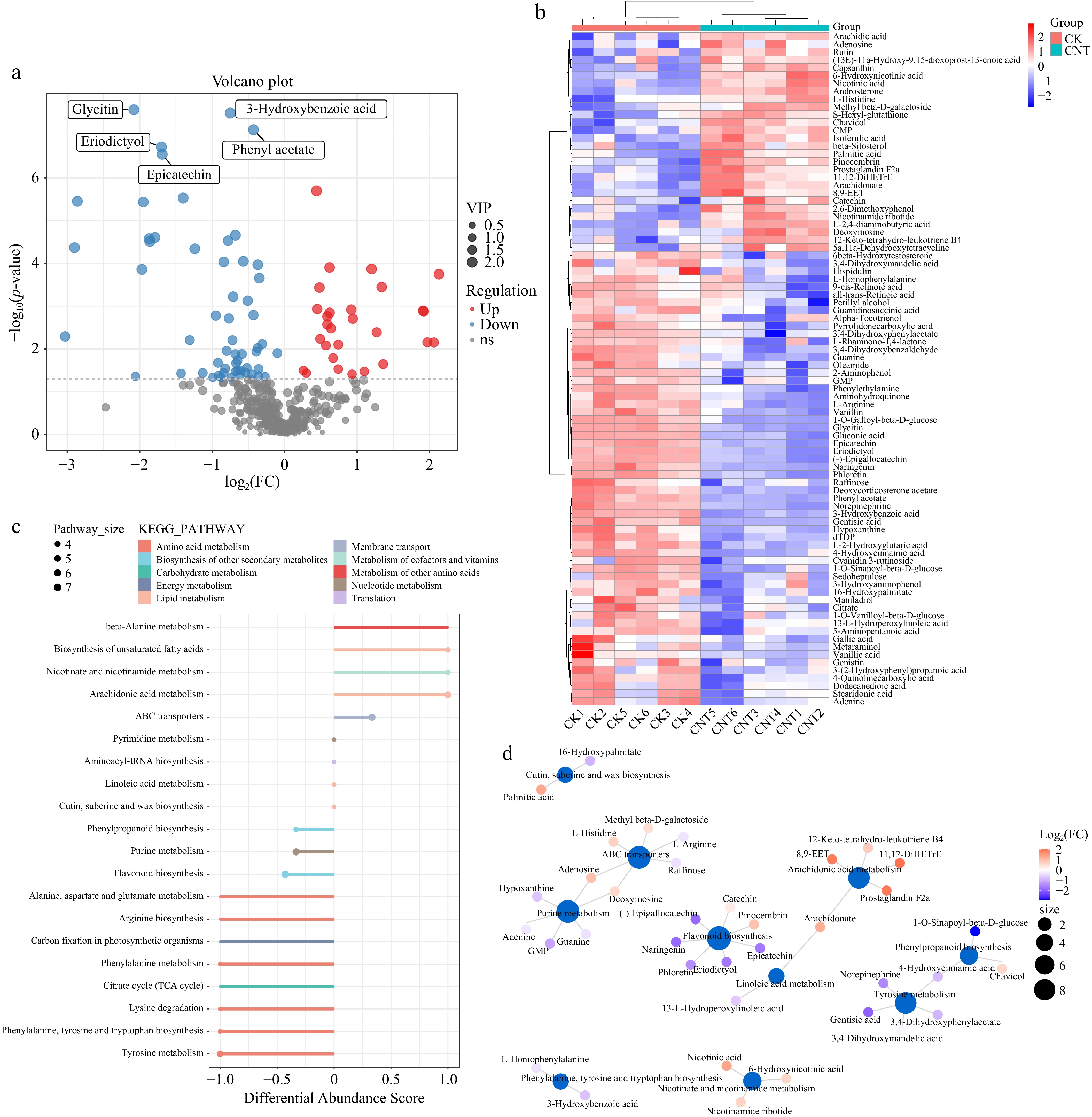 Proteomics and metabolomics analysis of the strawberry adventitious ...